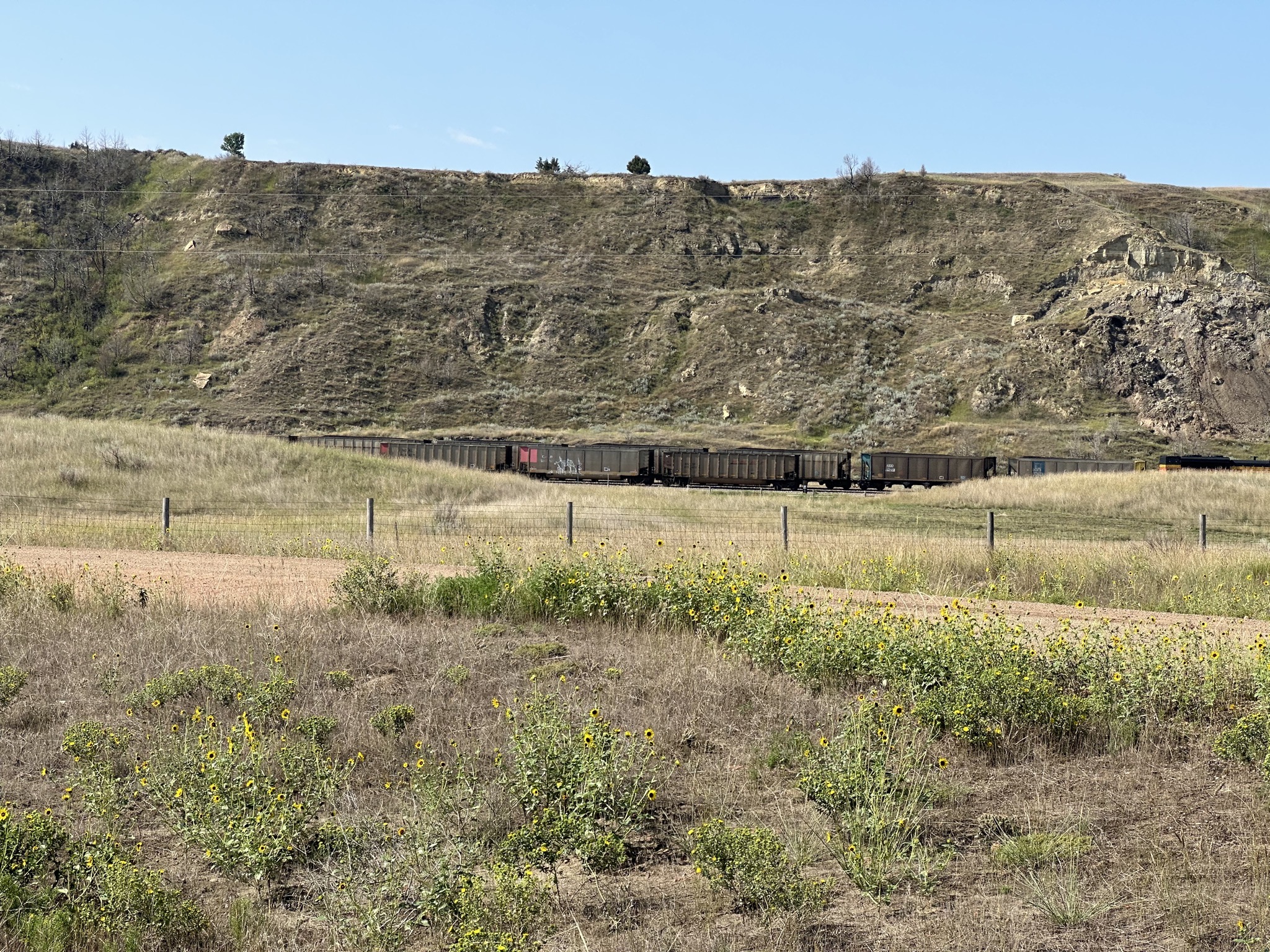 Train in the distance