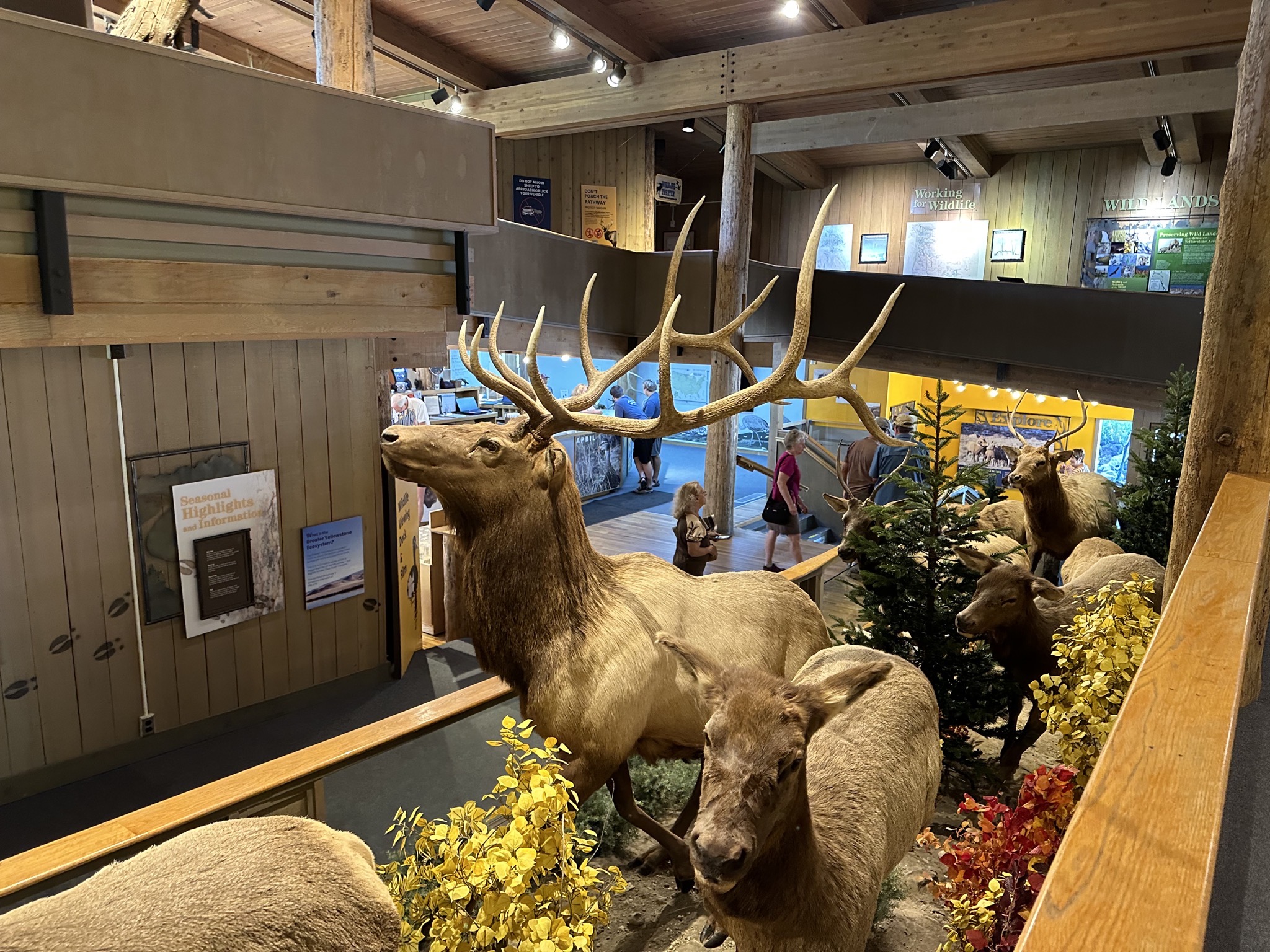 National Elk Refuge