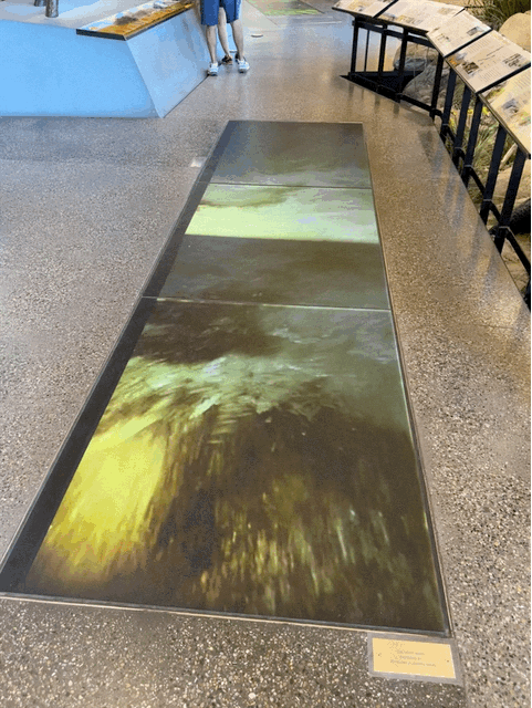 Craig Thomas Discovery & Visitor Center