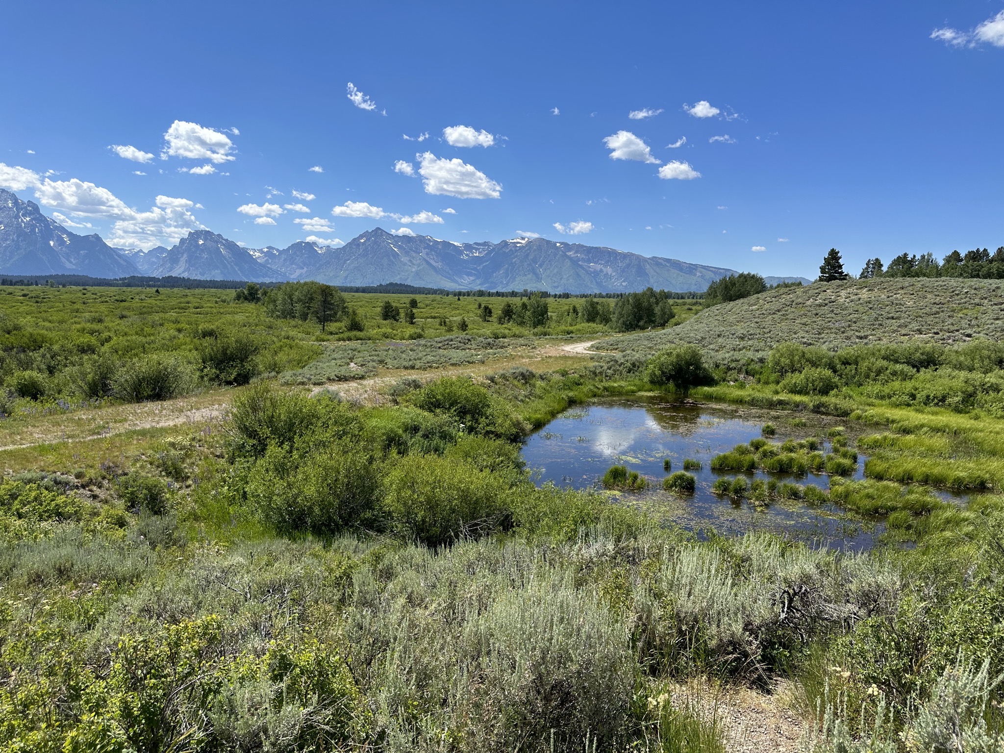 Grand Teton National Park