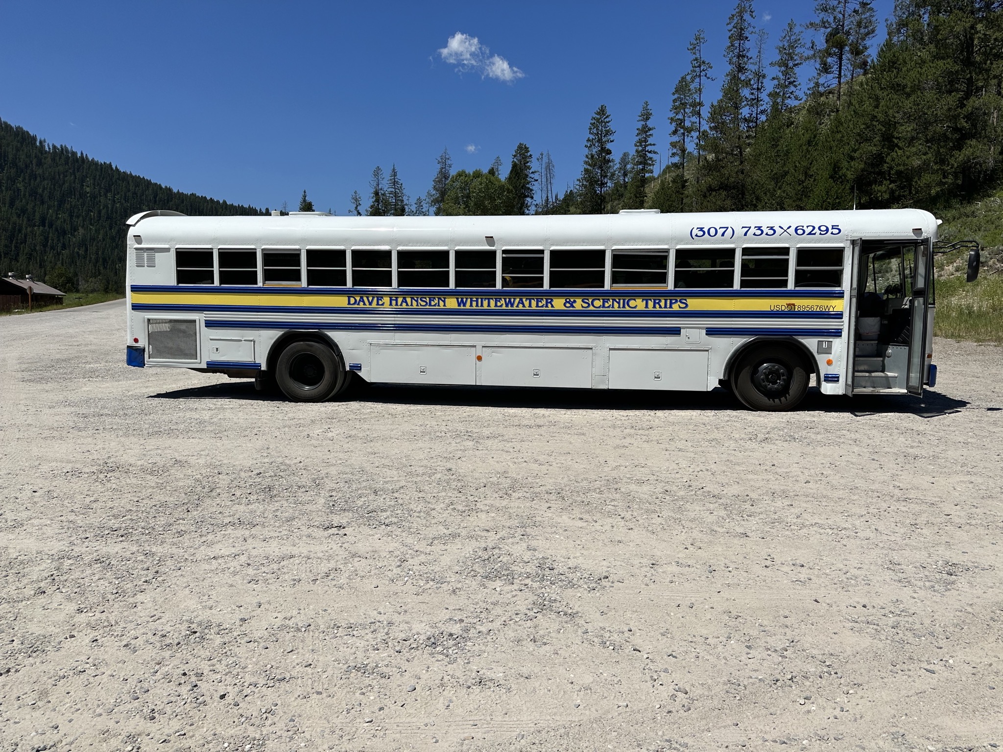 Bus