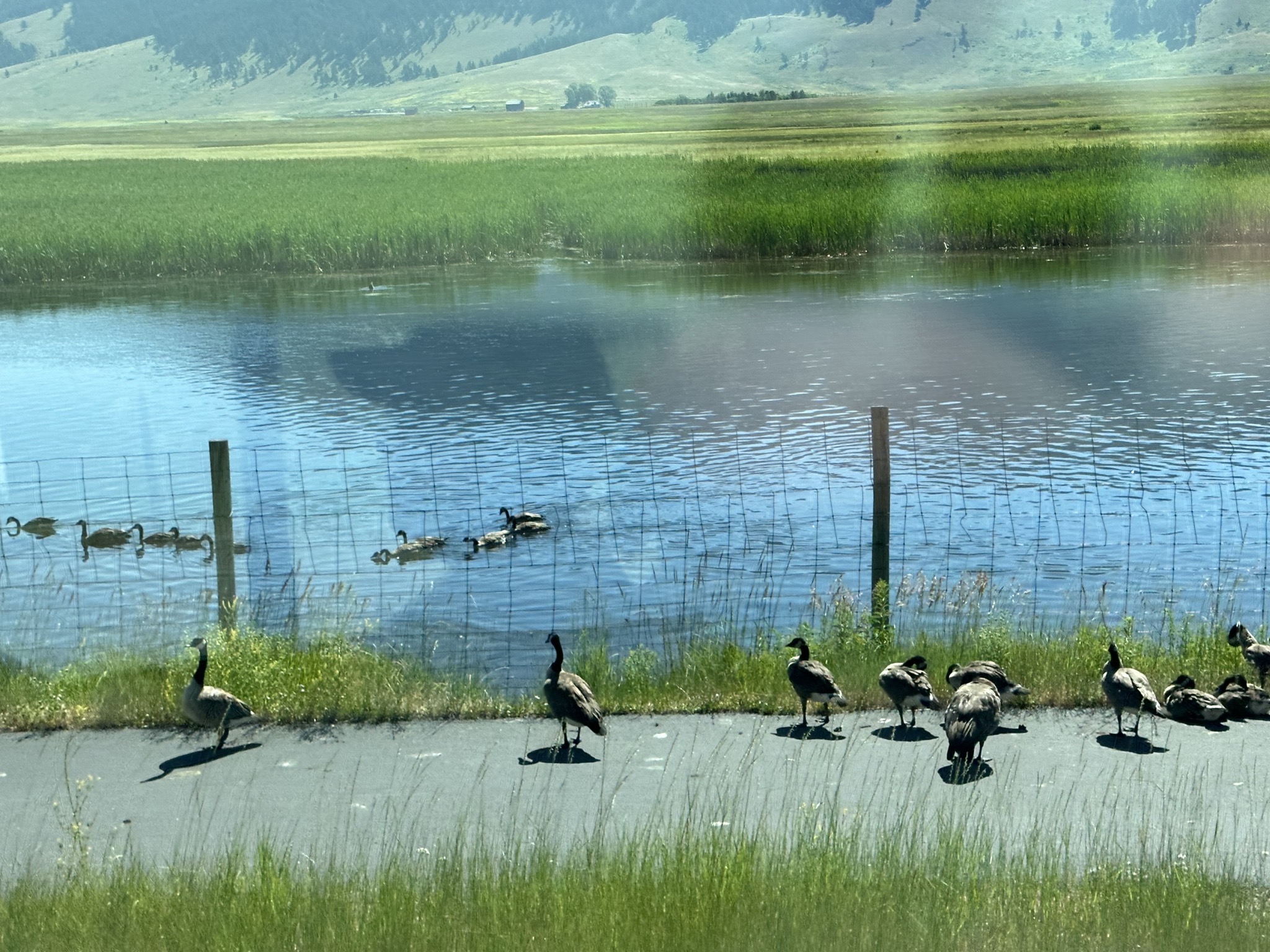 Snake River