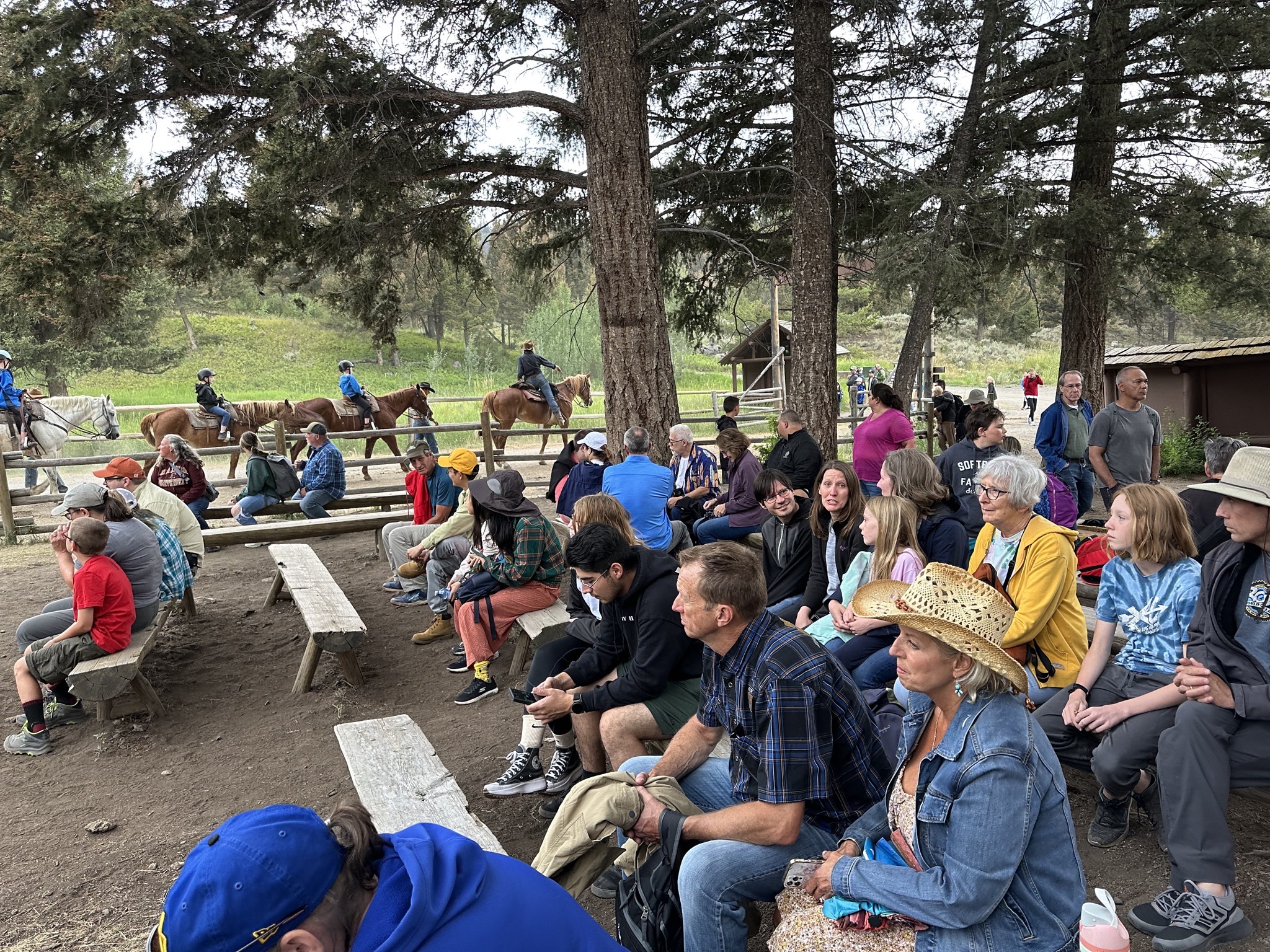 Horses and wagon riders waiting