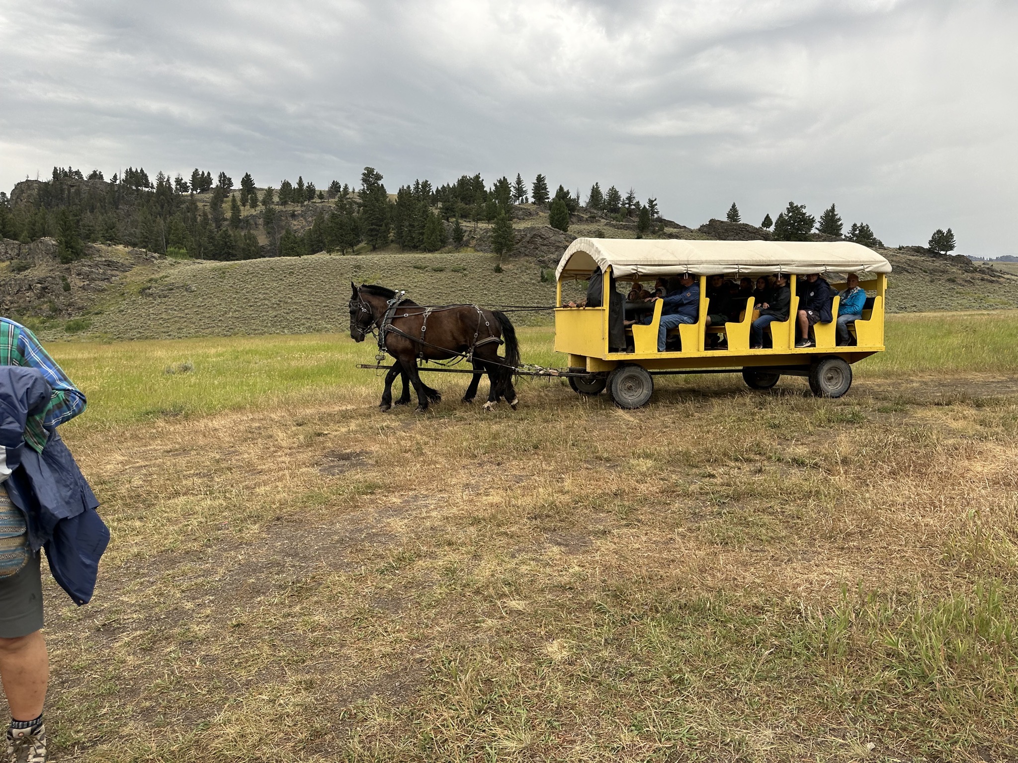 Wagon ride