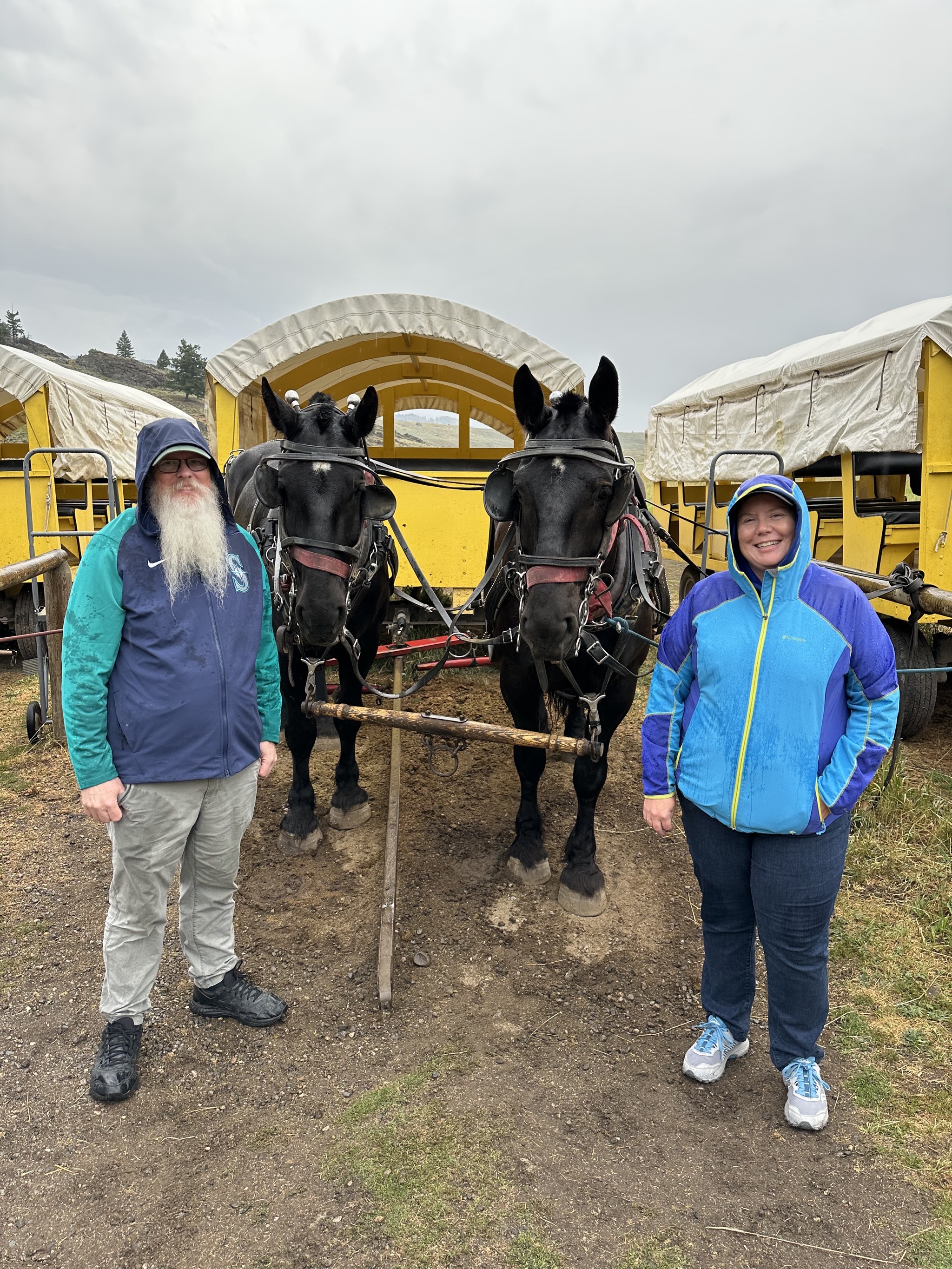 Horses and wagons