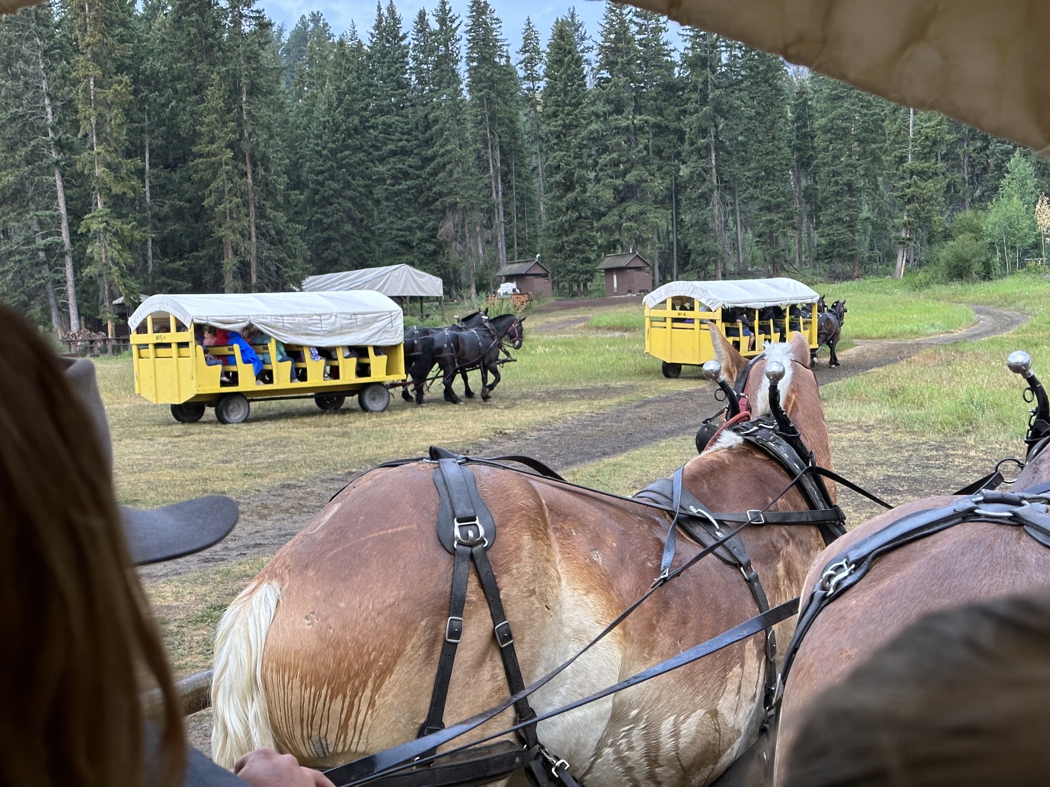 Wagon ride