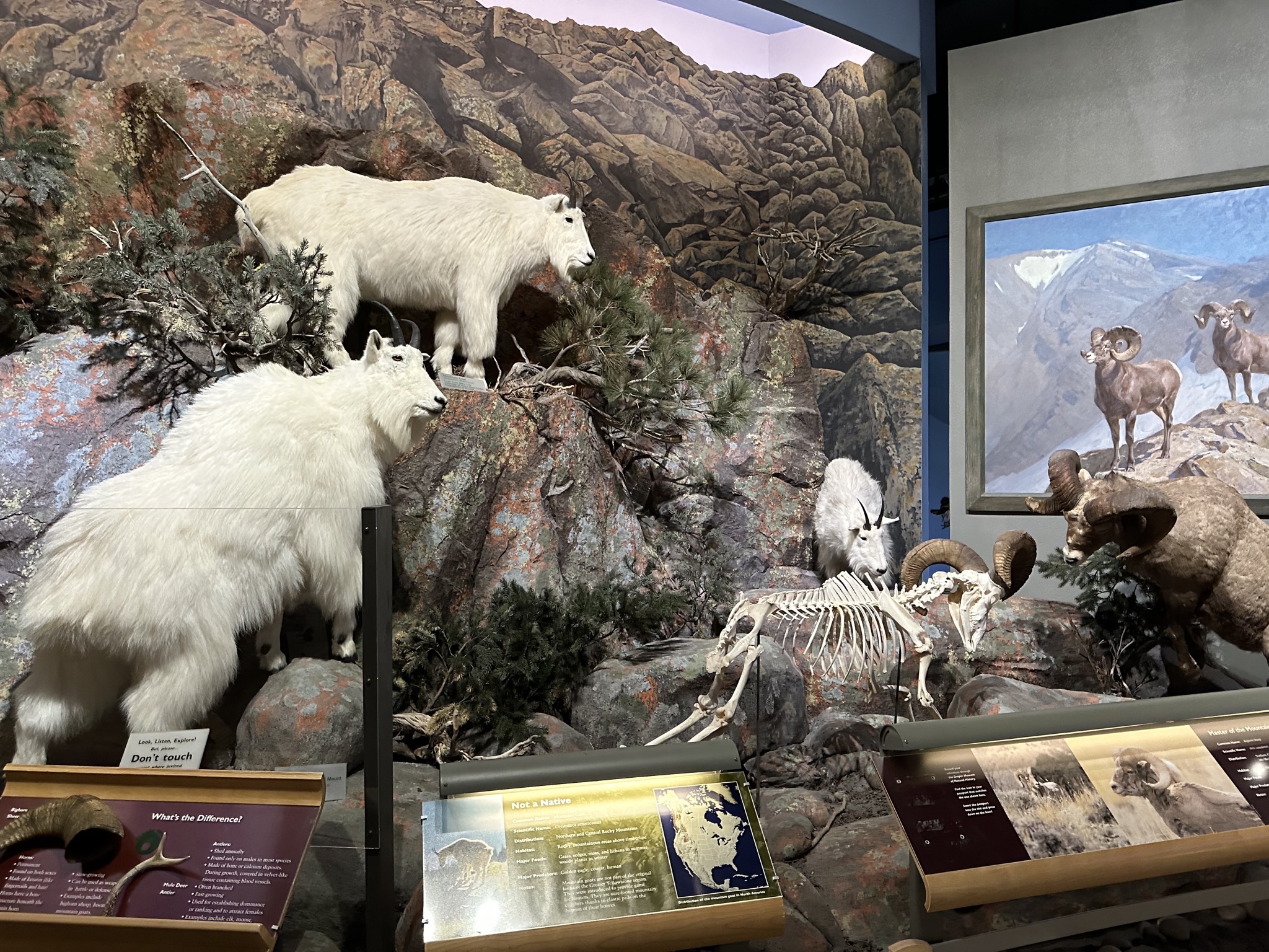 Natural history museum