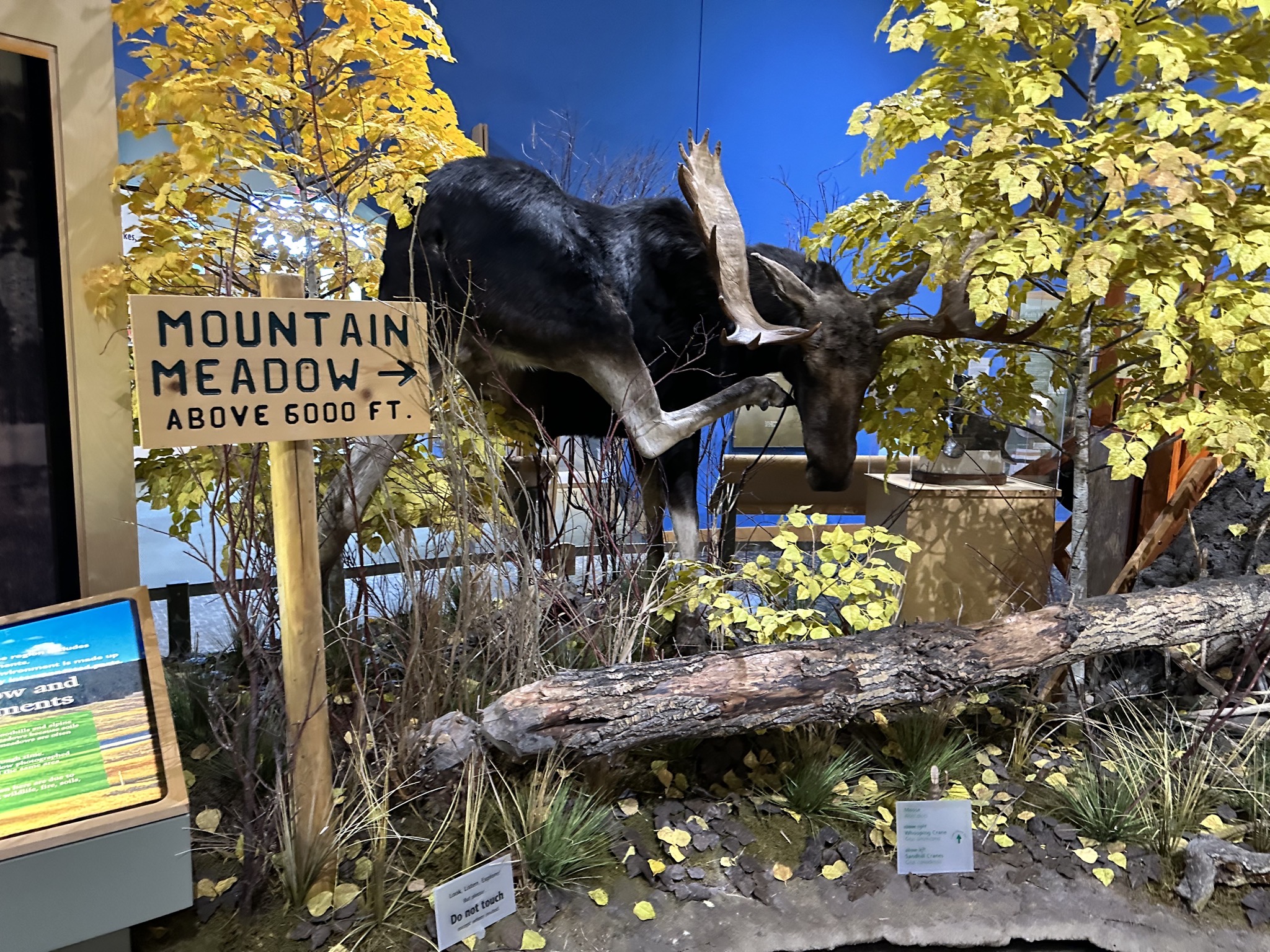 Natural history museum