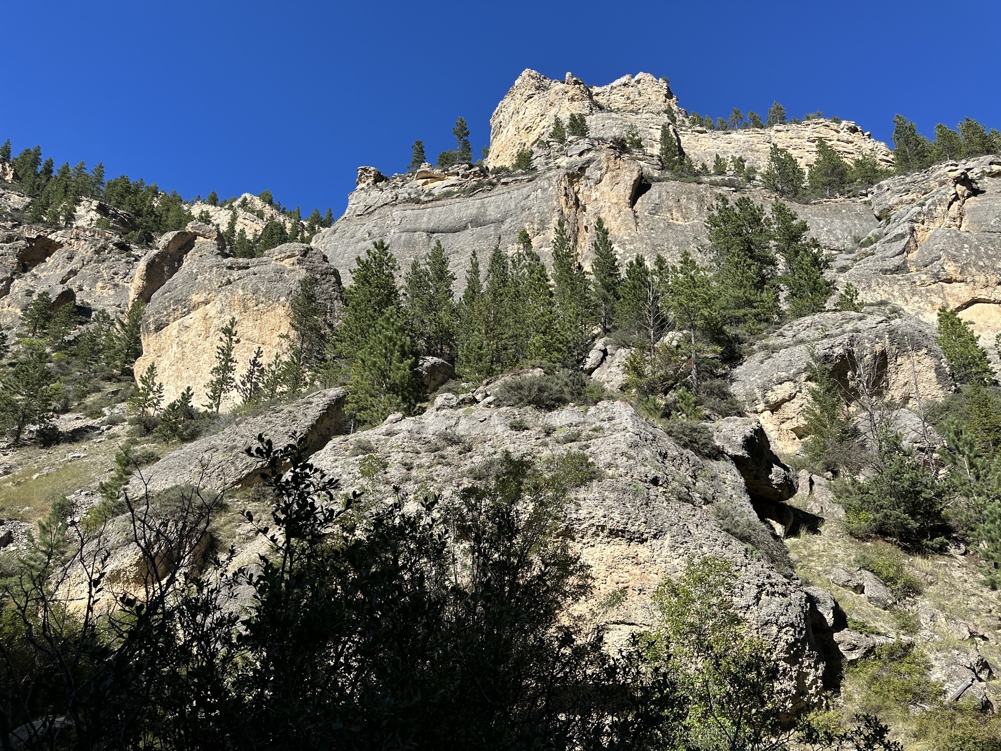 Crazy Woman Canyon