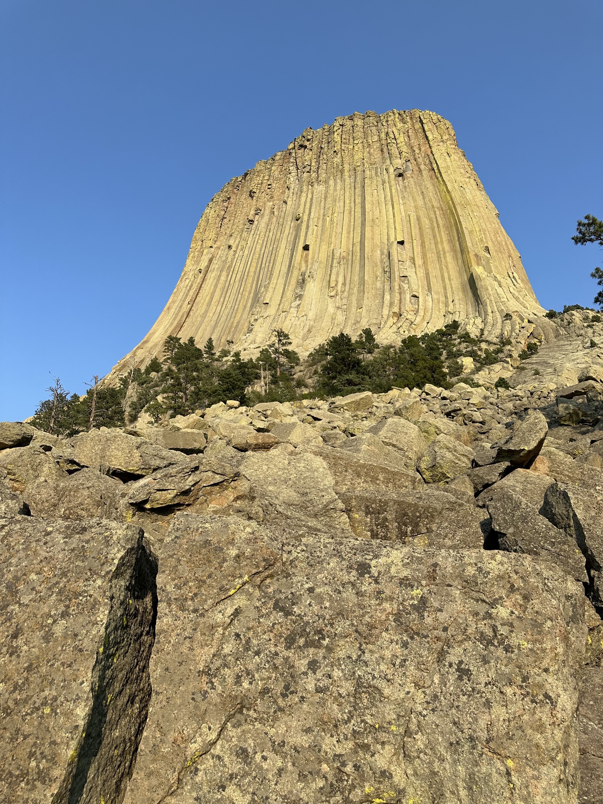 Devils Tower