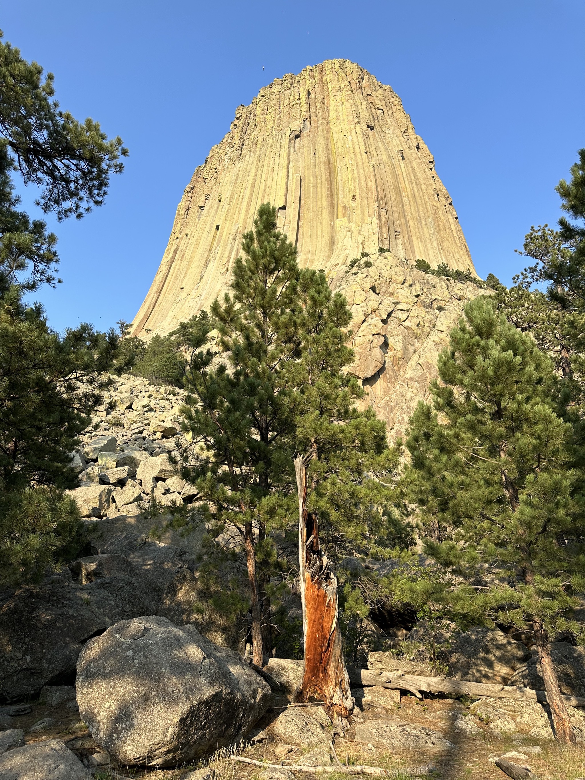 Devils Tower