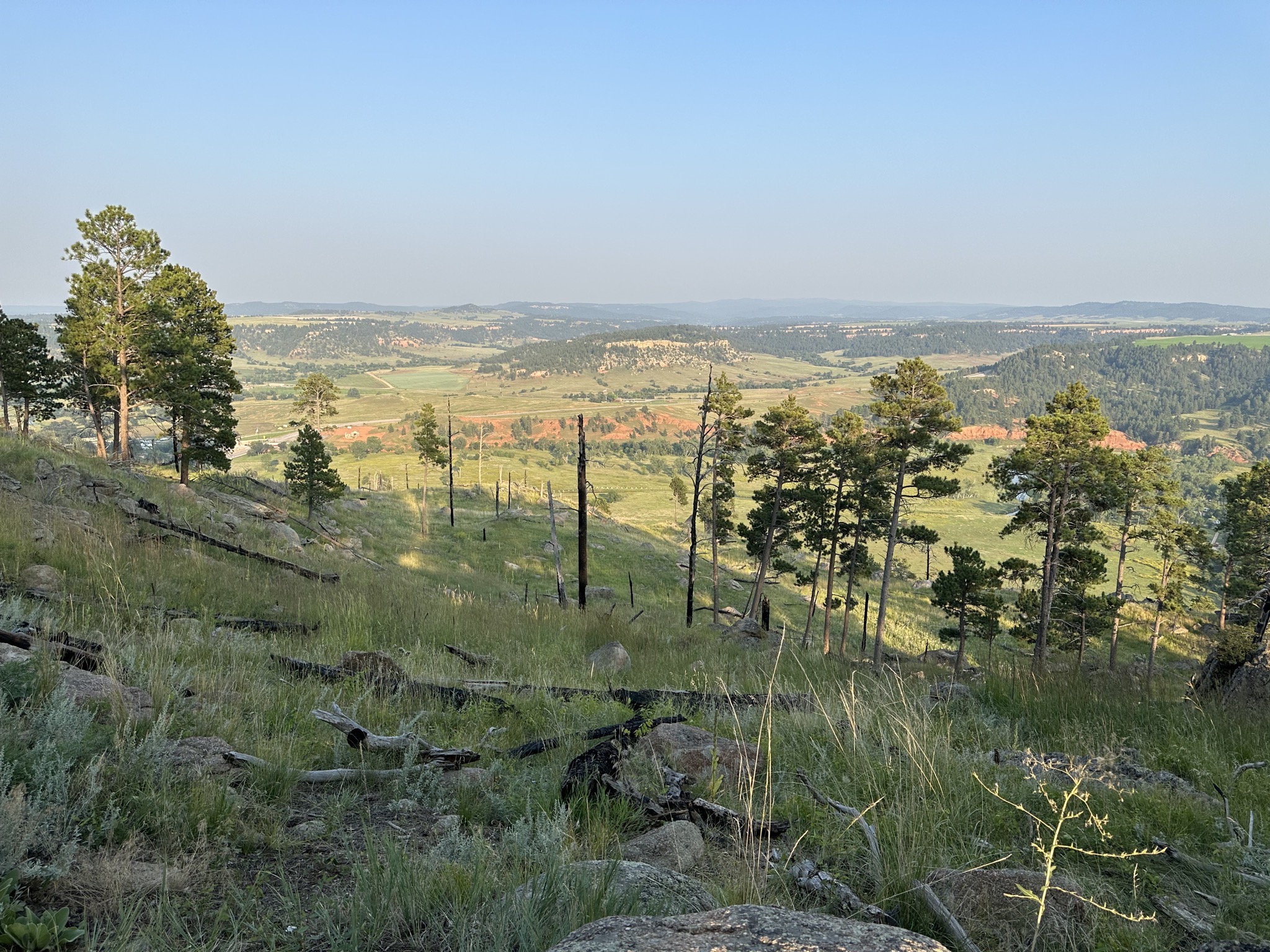 View