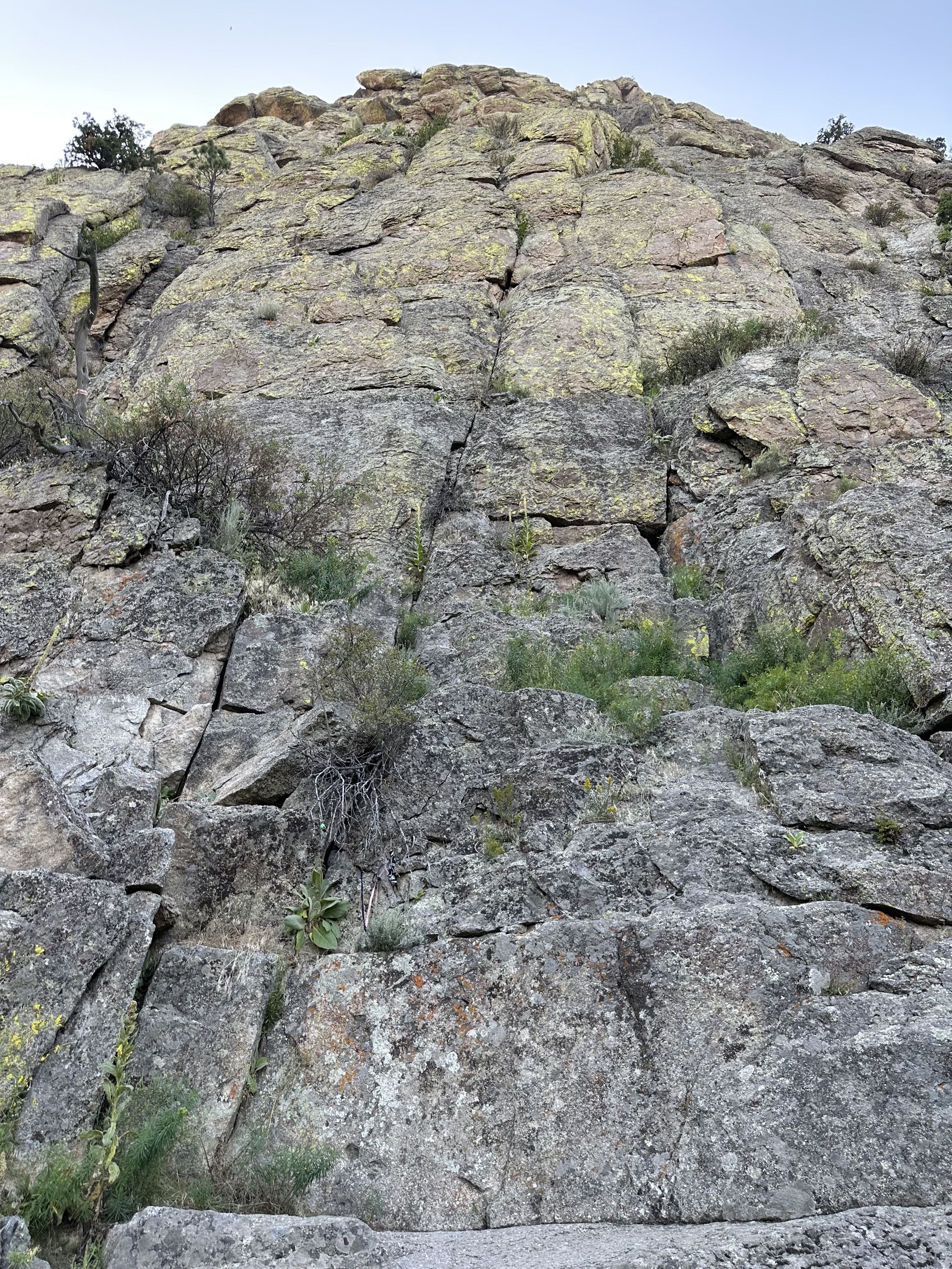 Devils Tower
