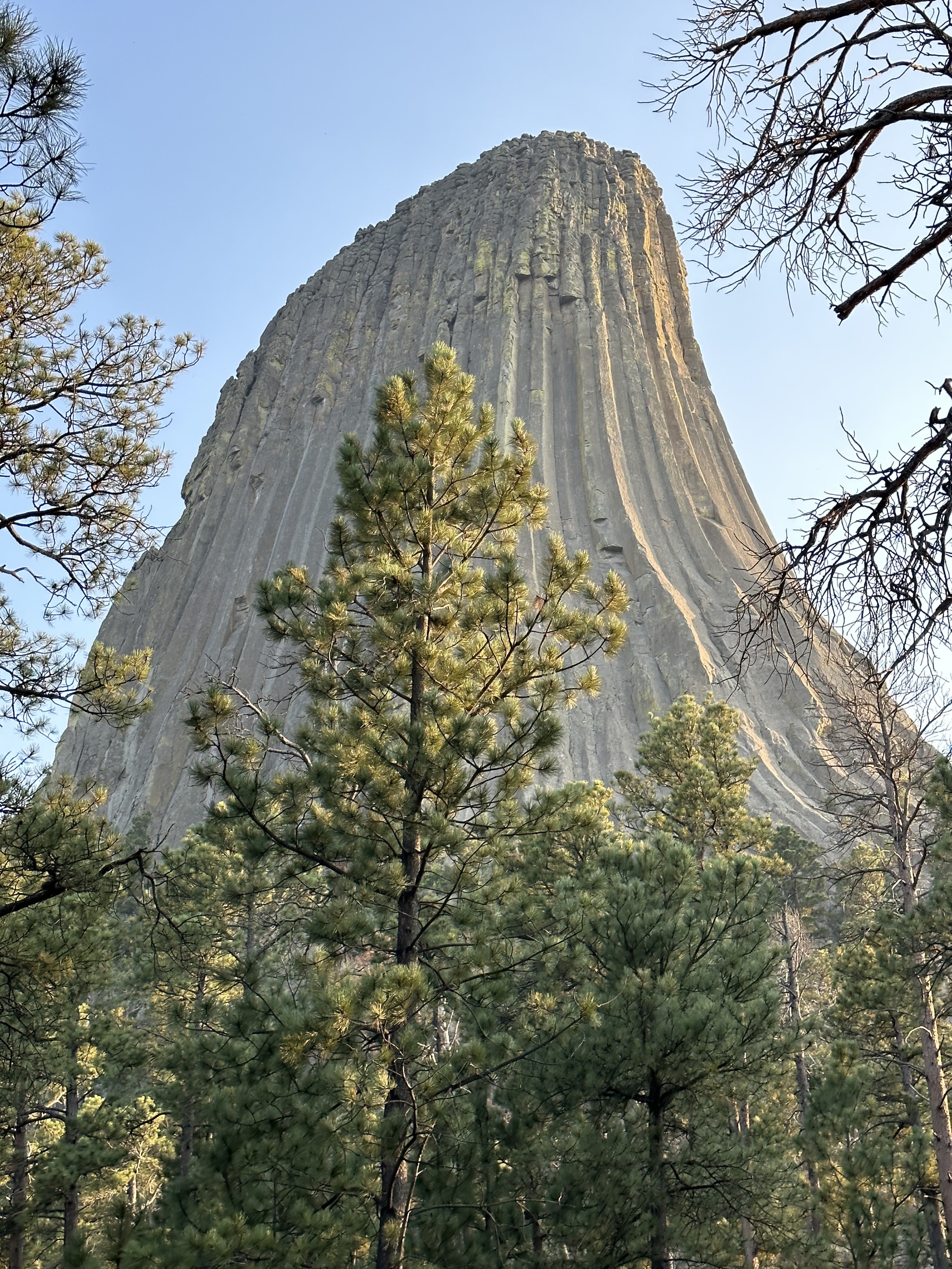 Devils Tower