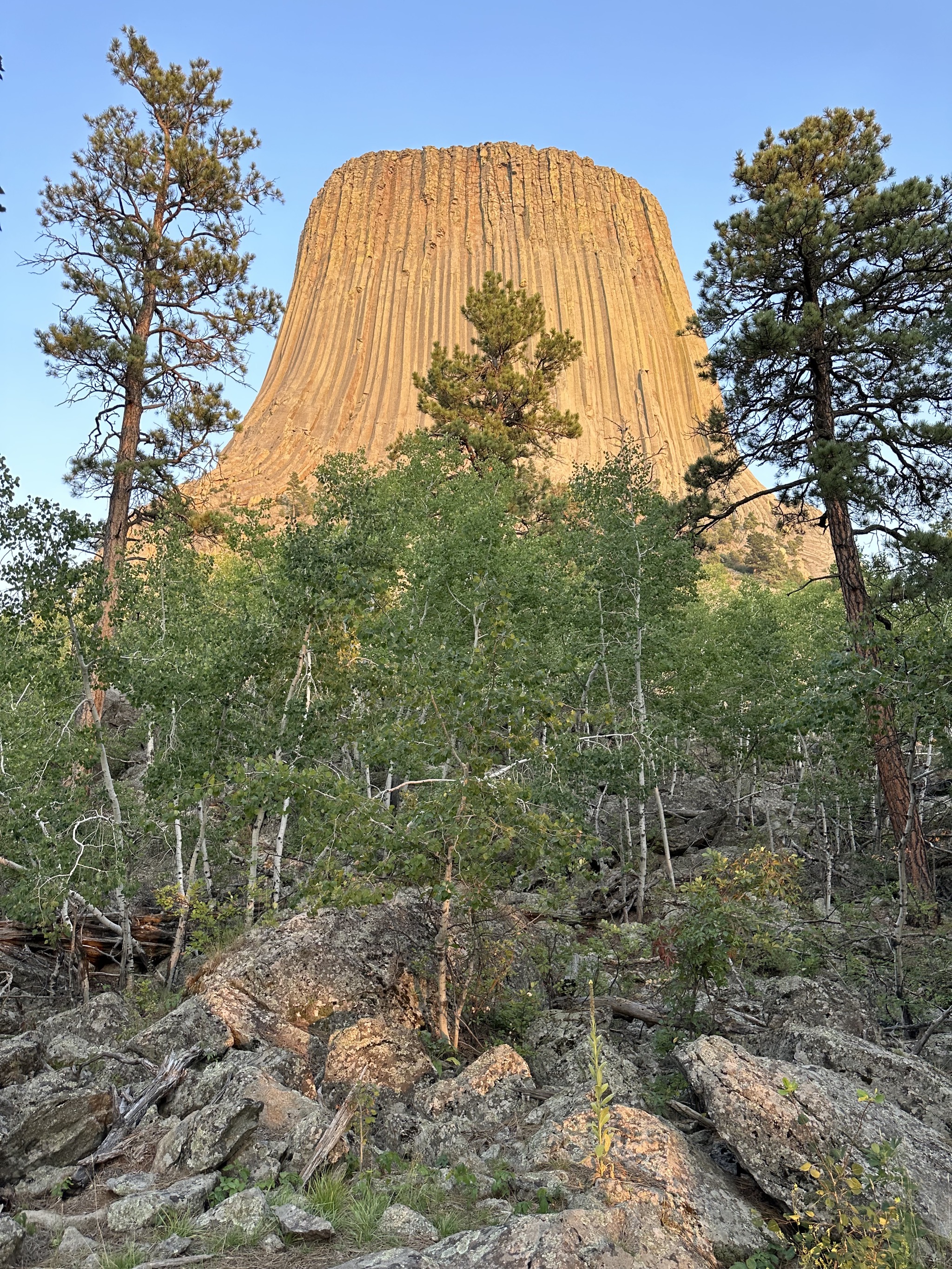 Devils Tower