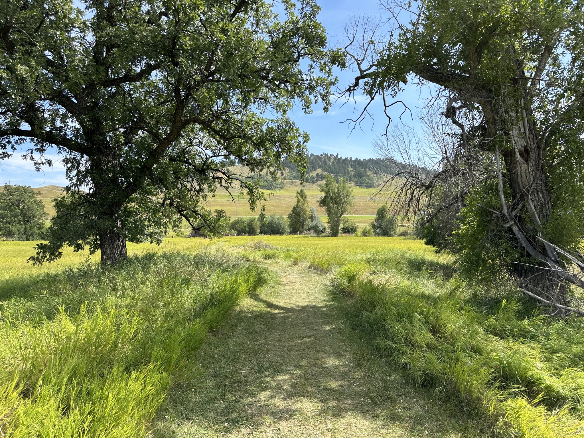 Nature trail