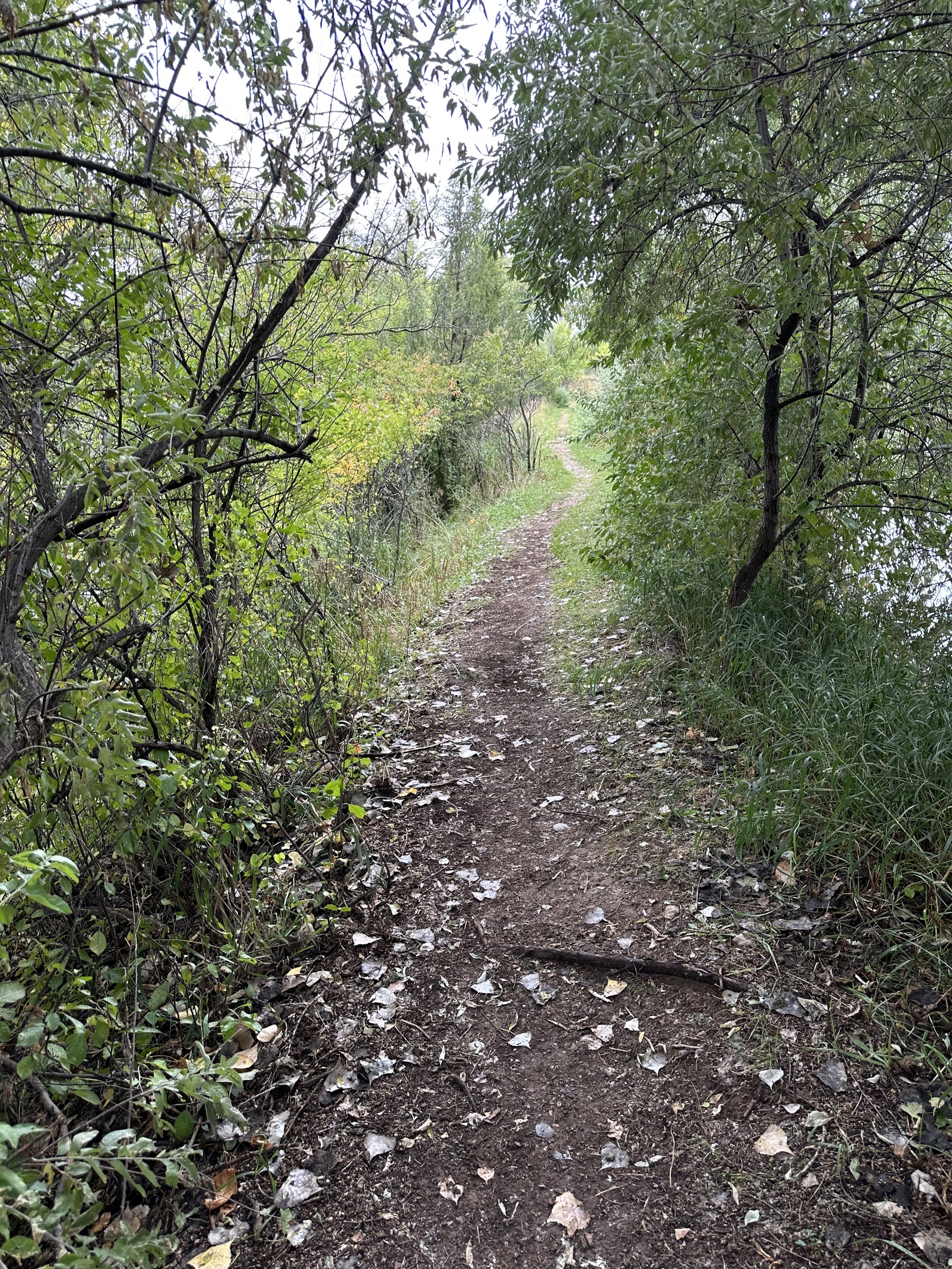 Path around lake