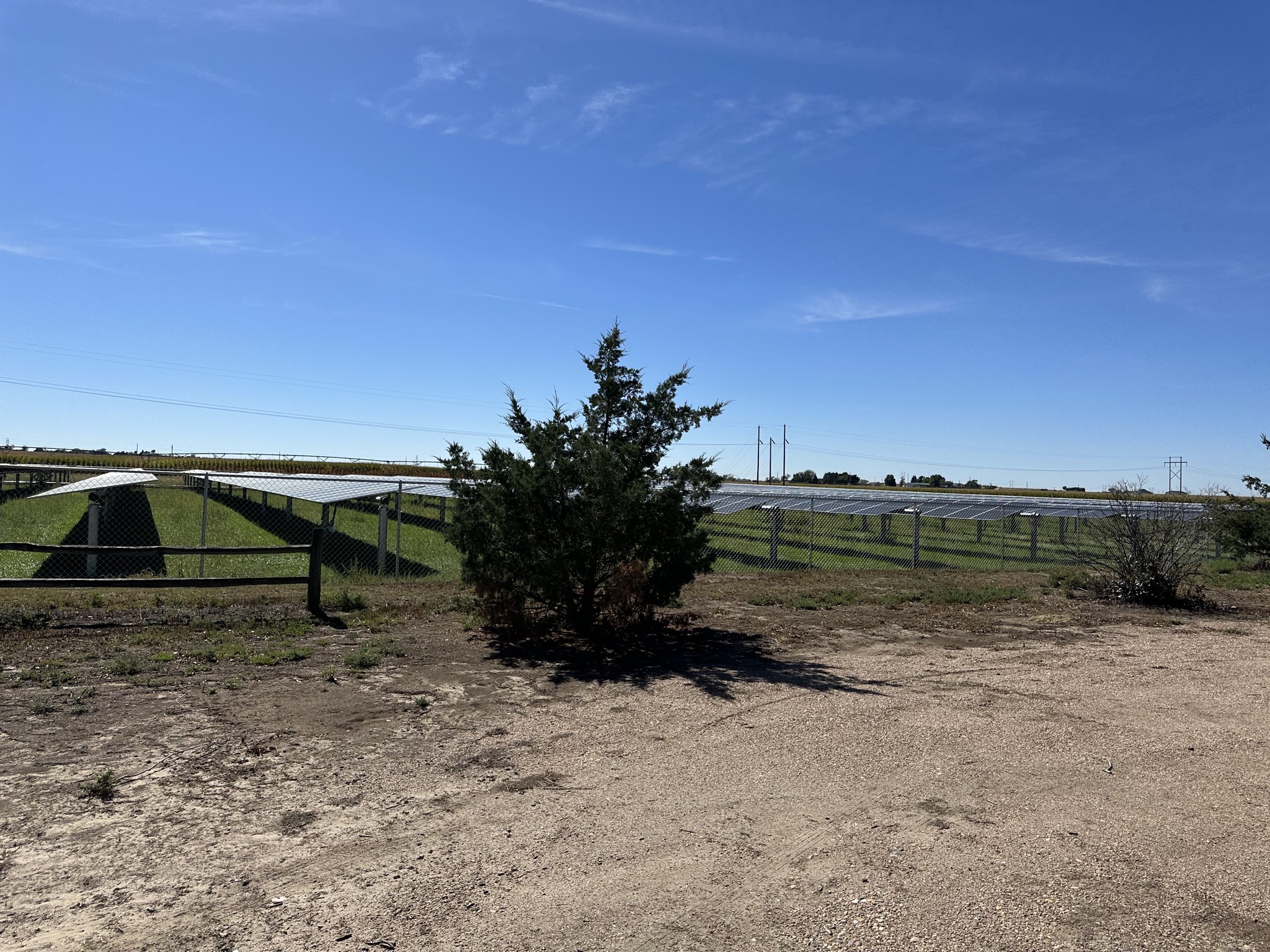 Solar panels behind campground