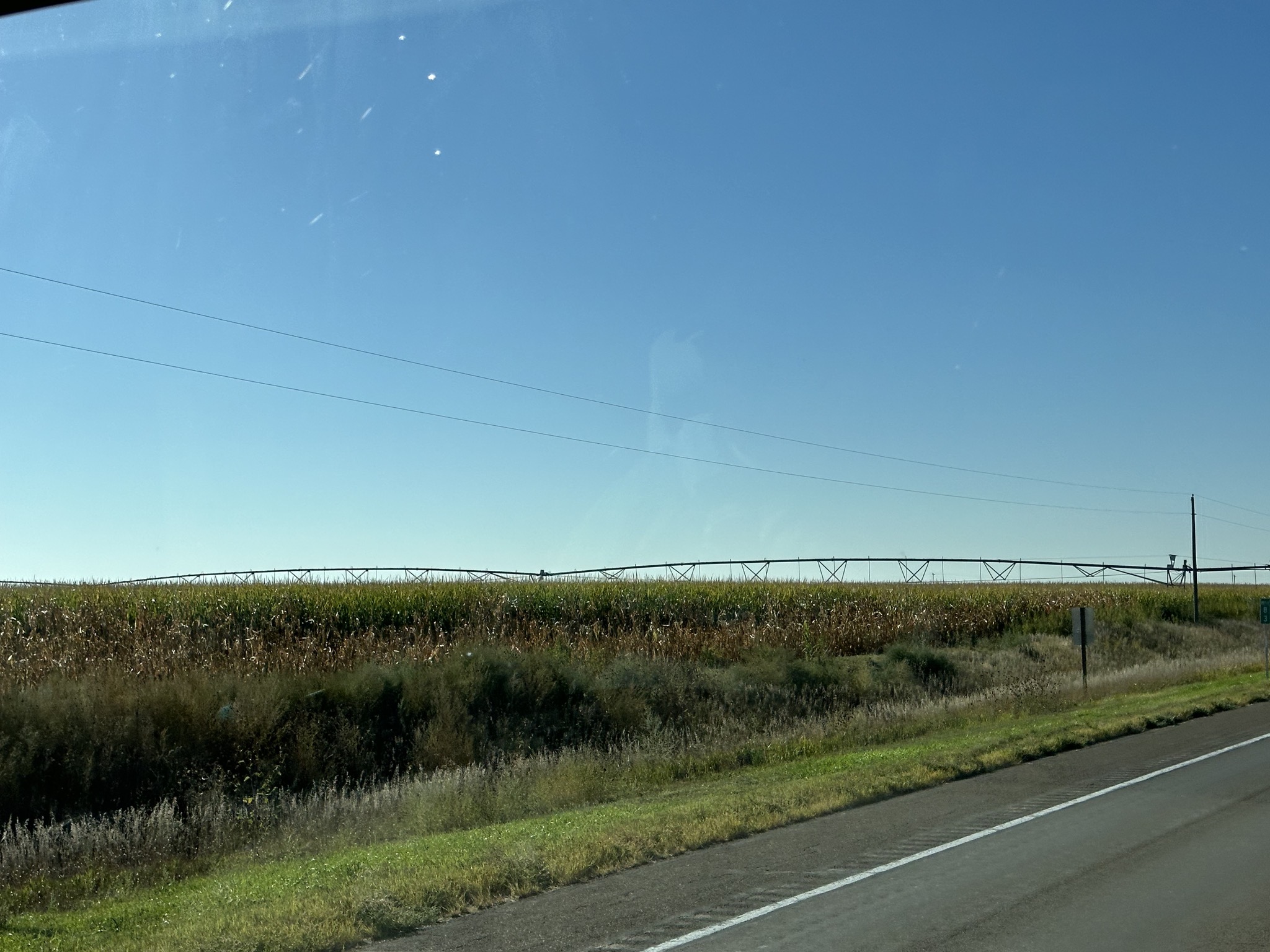 Lots of fields of corn