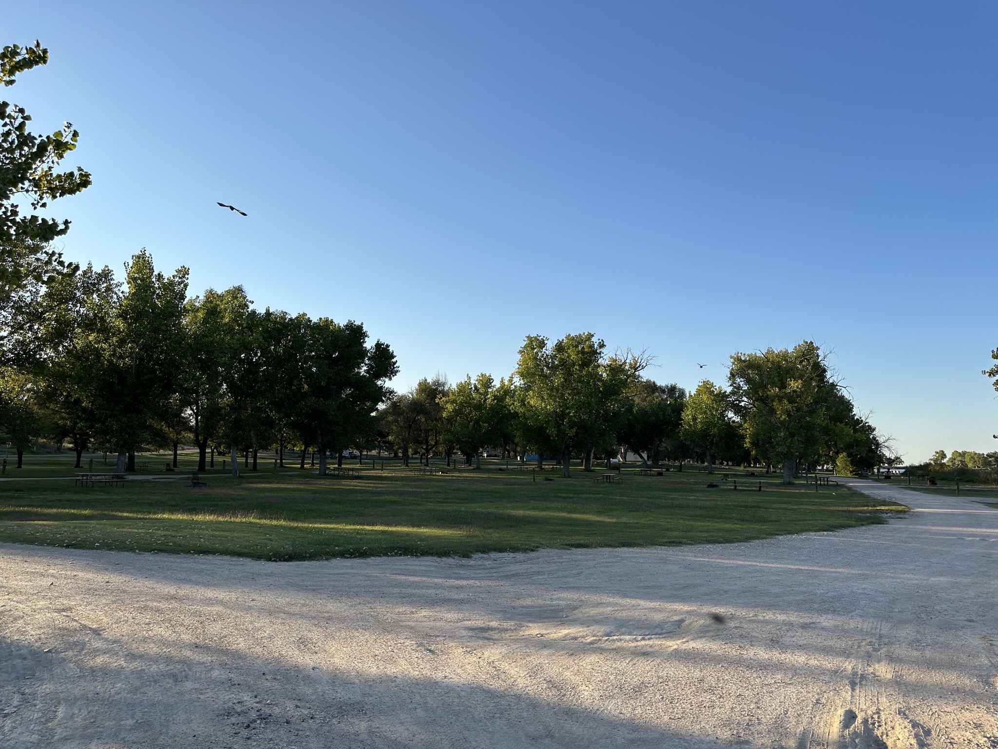 Tent area