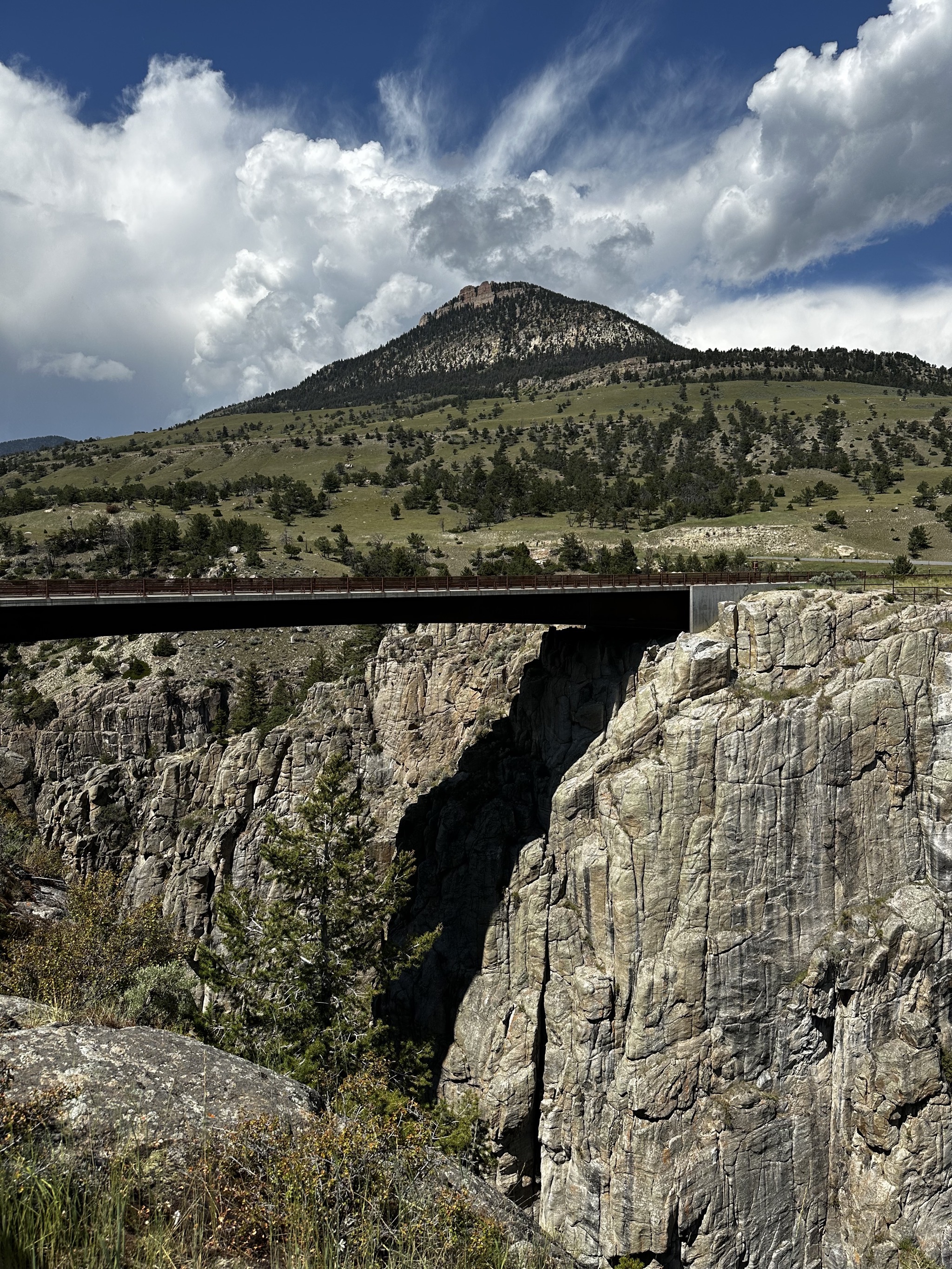 Bridge