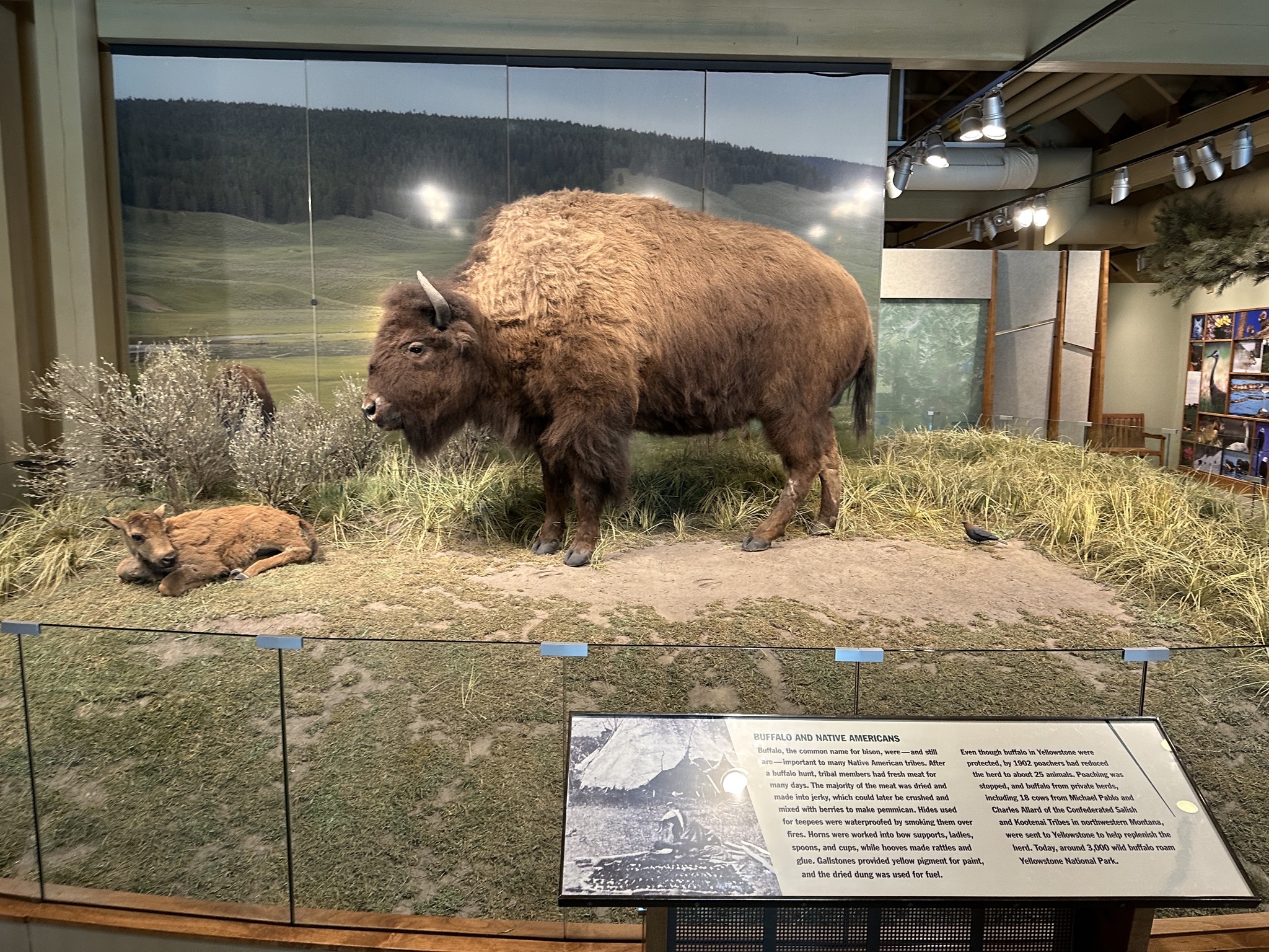 Canyon Visitor Education Center