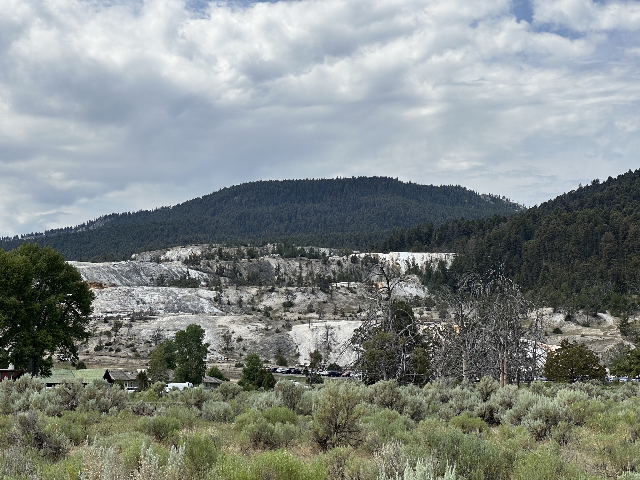Mammoth