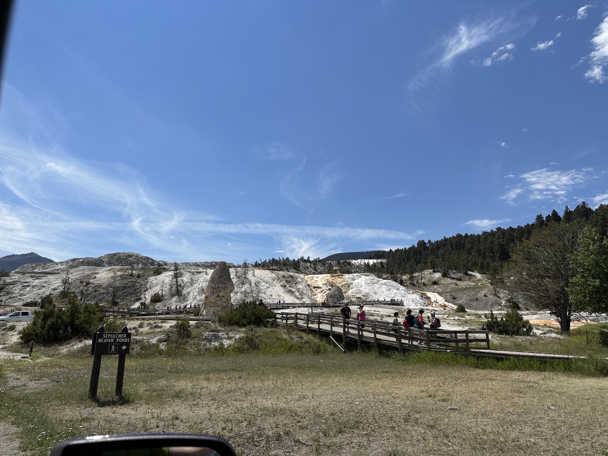 Mammoth