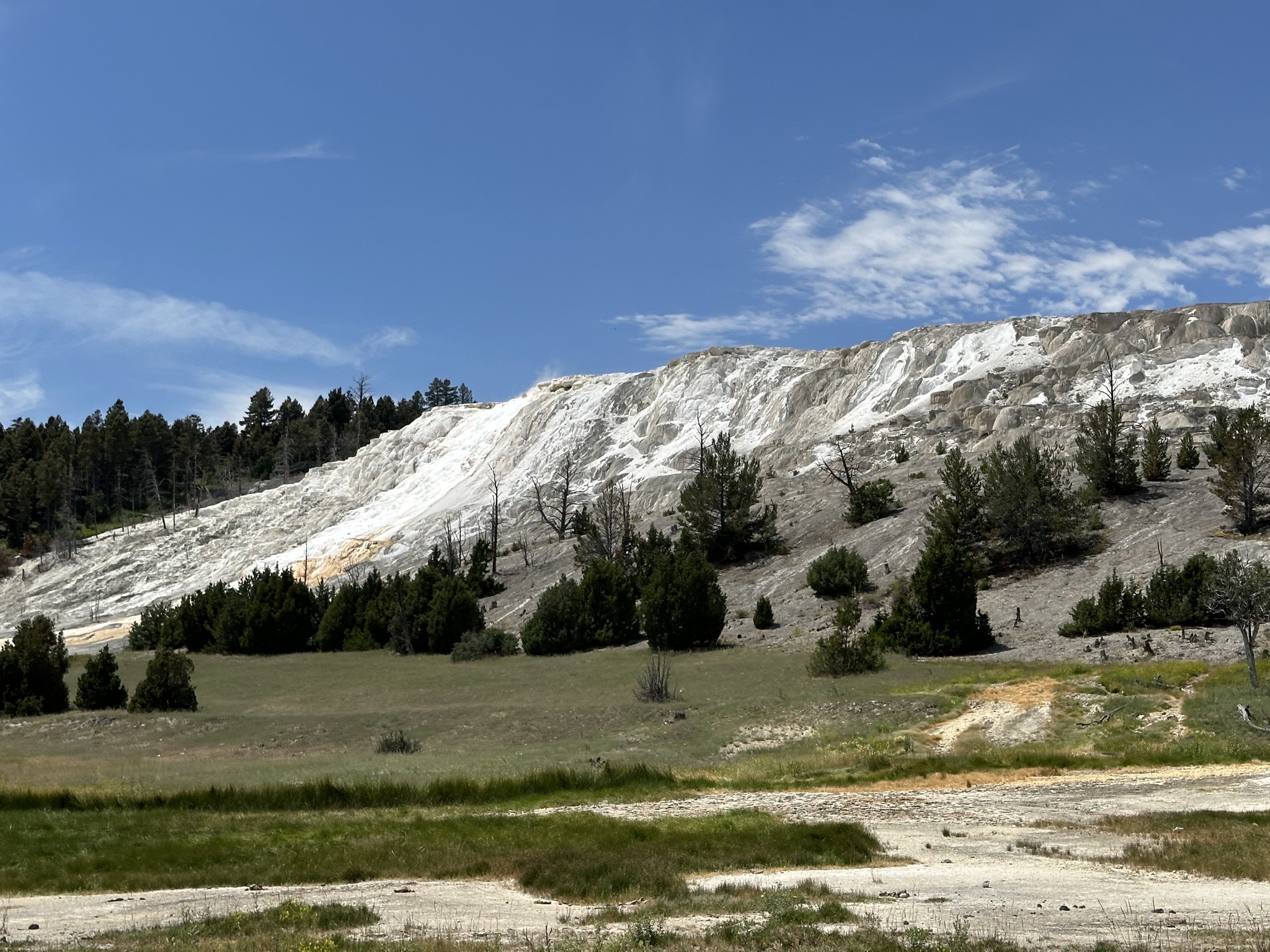 Mammoth