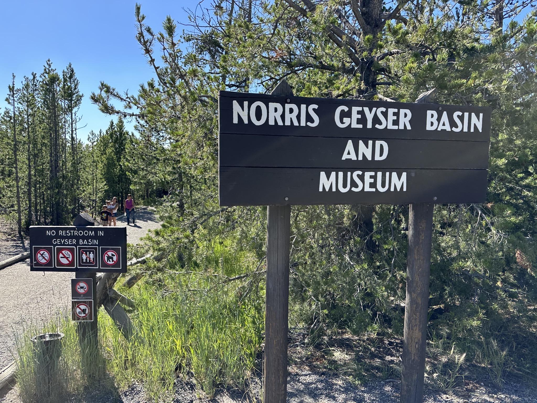 Norris Geyser Basin