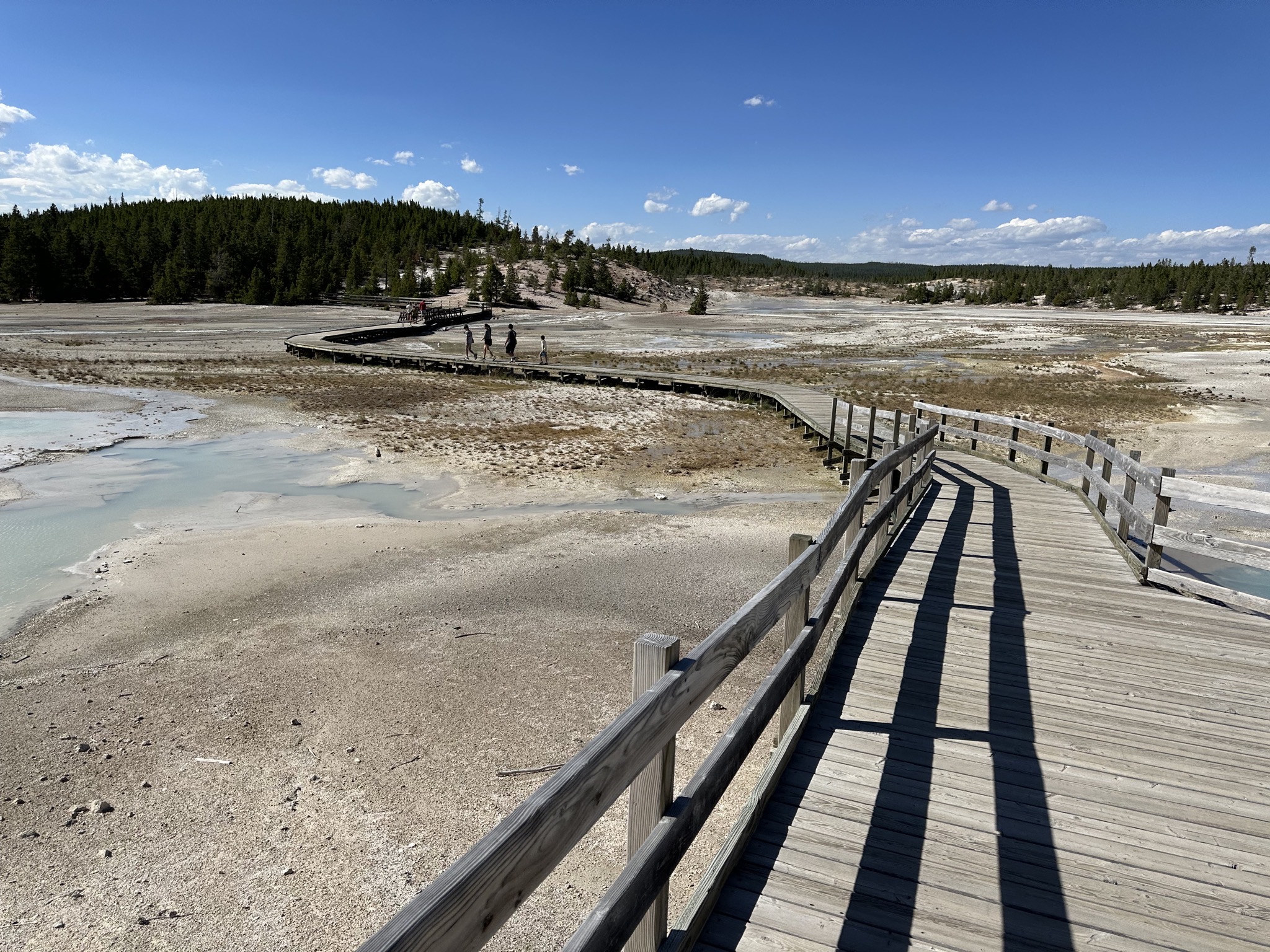 Norris Geyser Basin