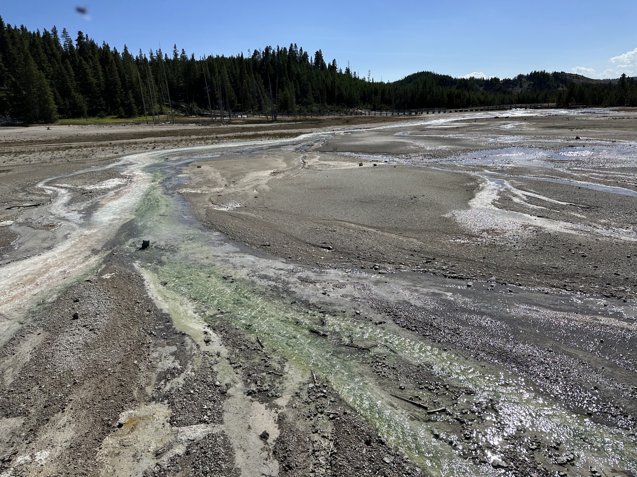 Norris Geyser Basin