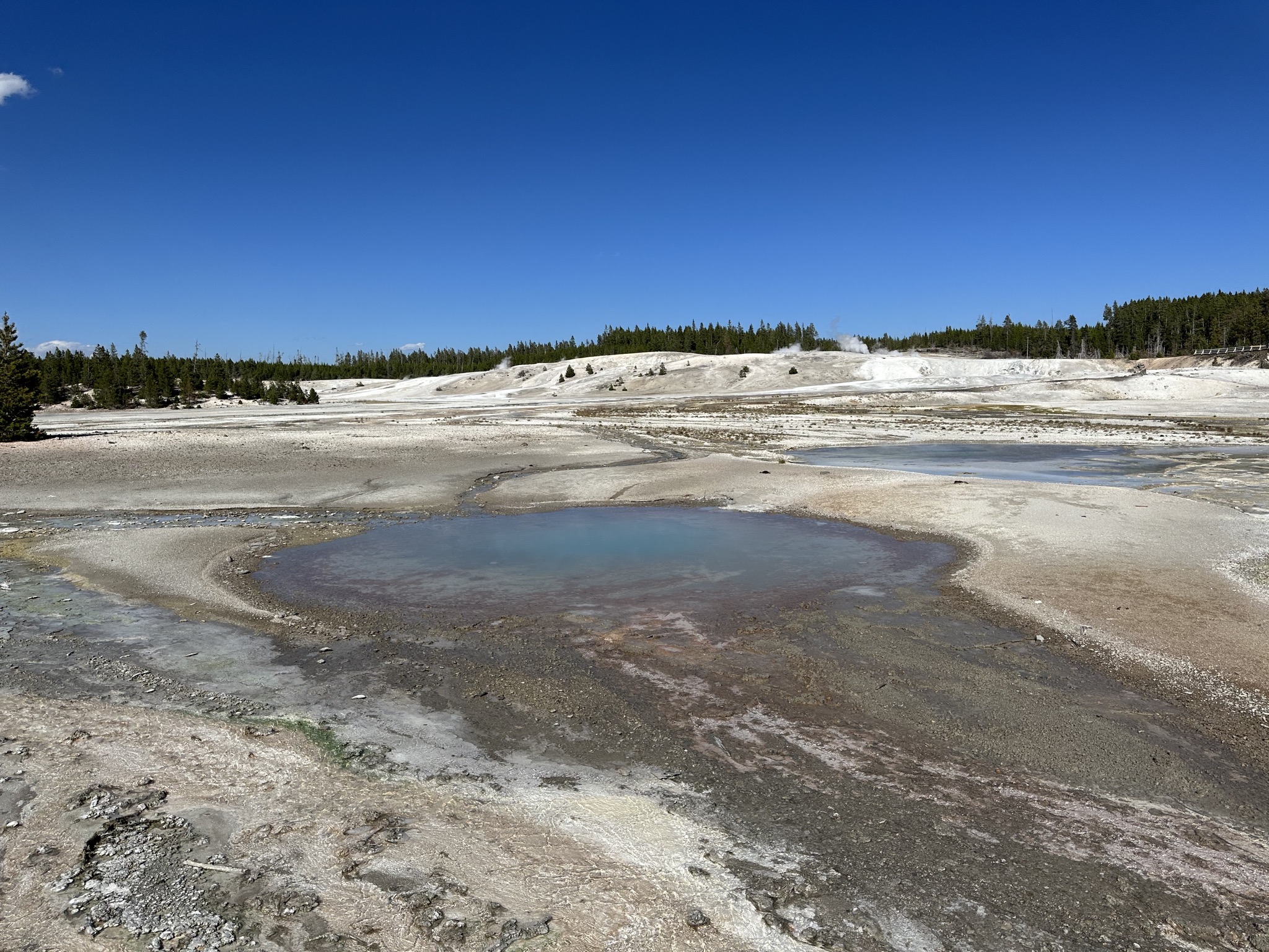 Norris Geyser Basin