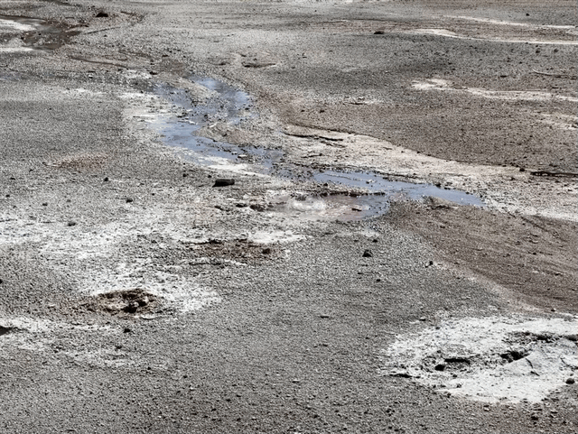 Norris Geyser Basin
