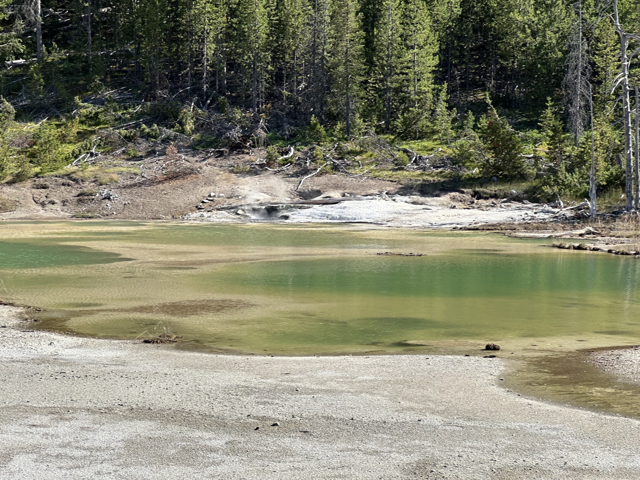 Norris Geyser Basin