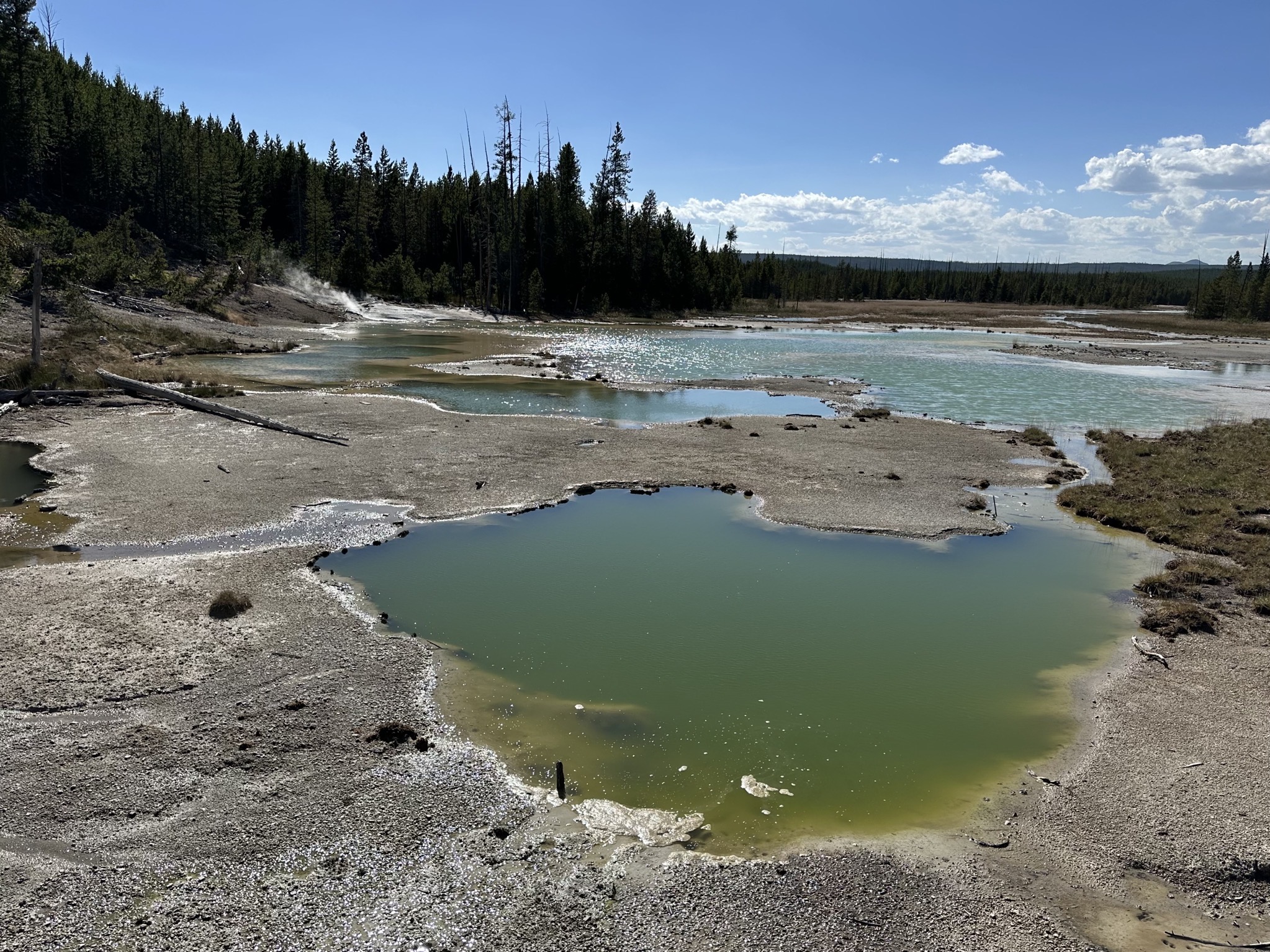 Norris Geyser Basin