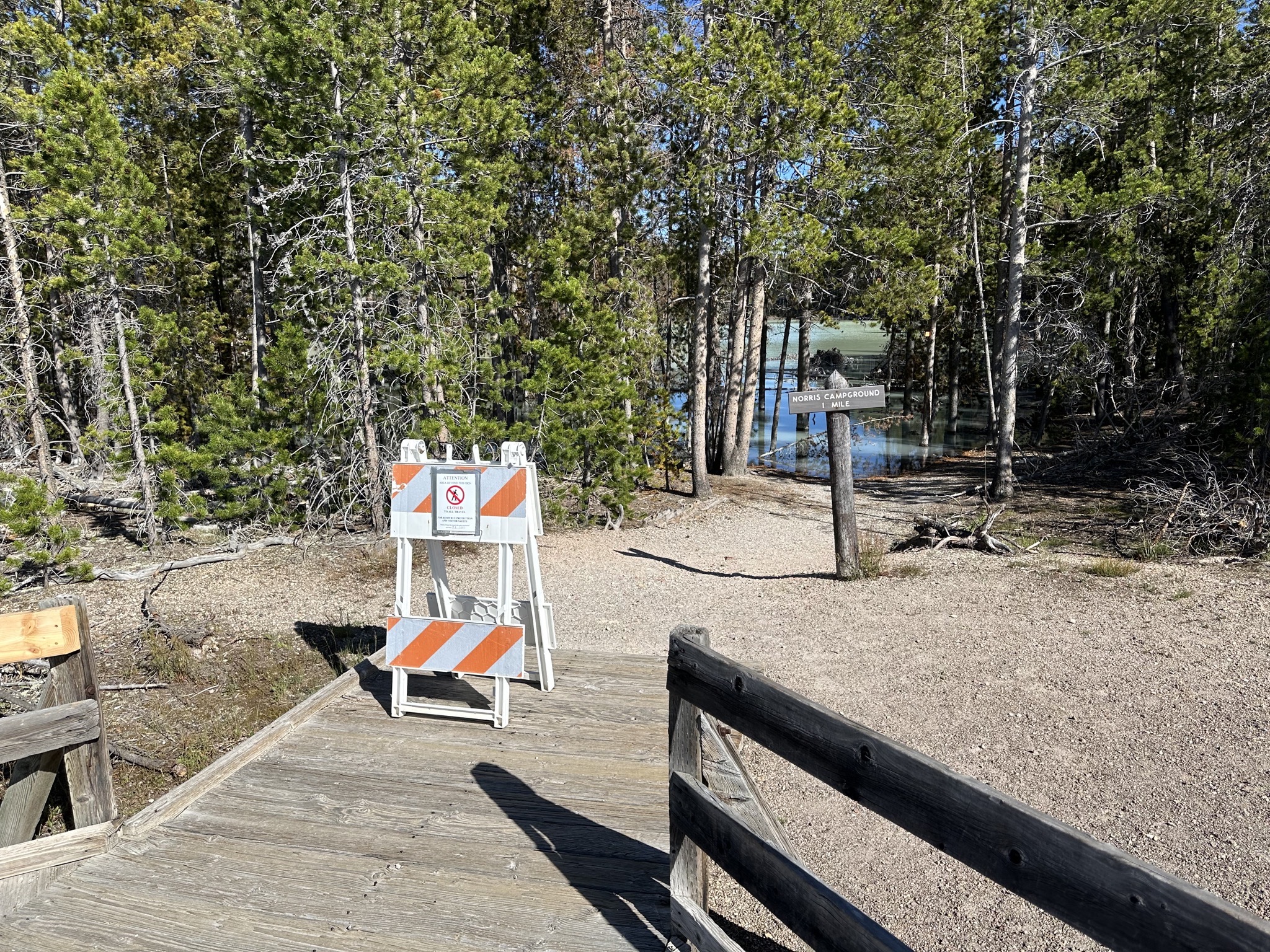 Norris Geyser Basin