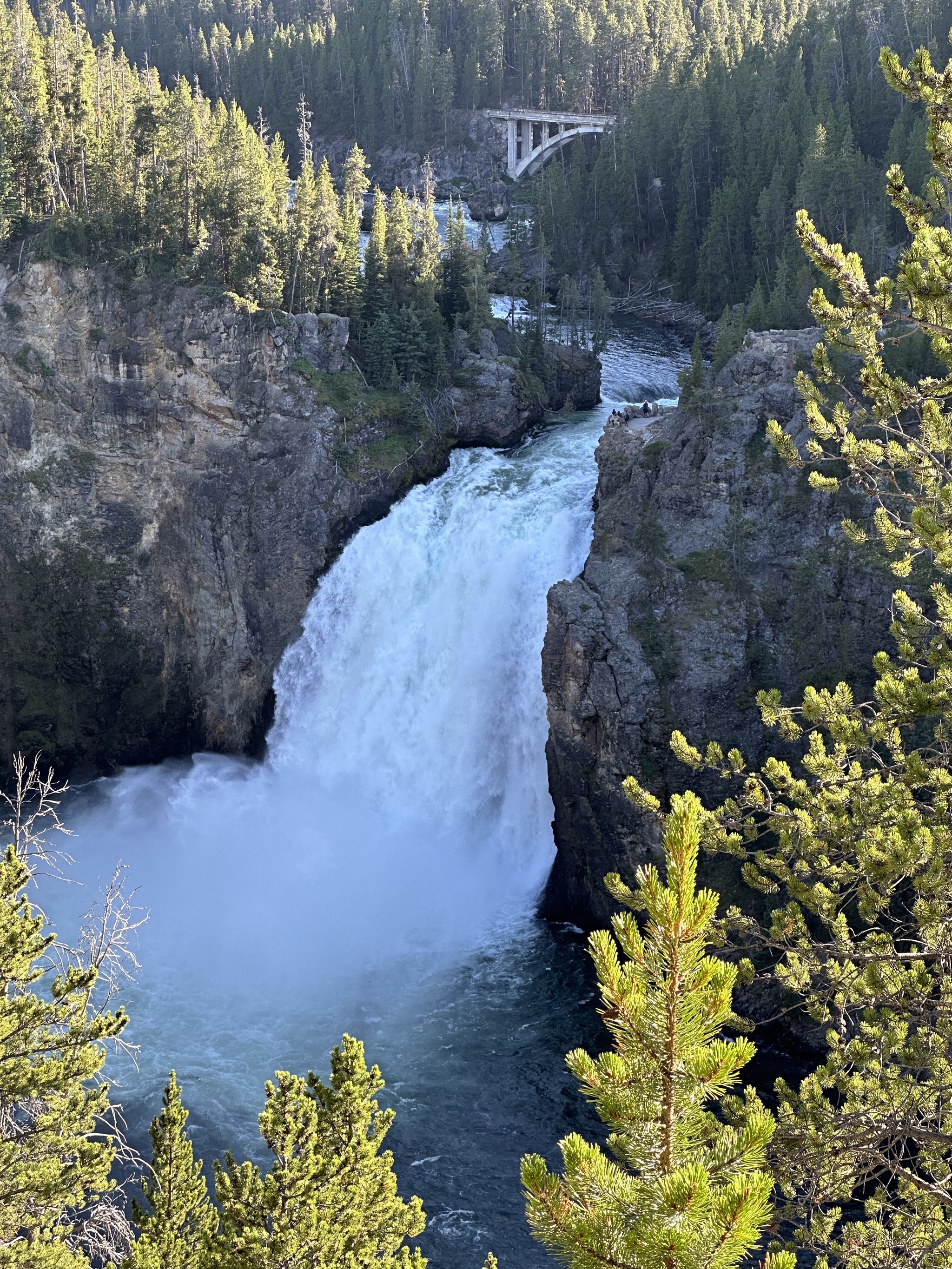 Grand Canyon of Yellowstone