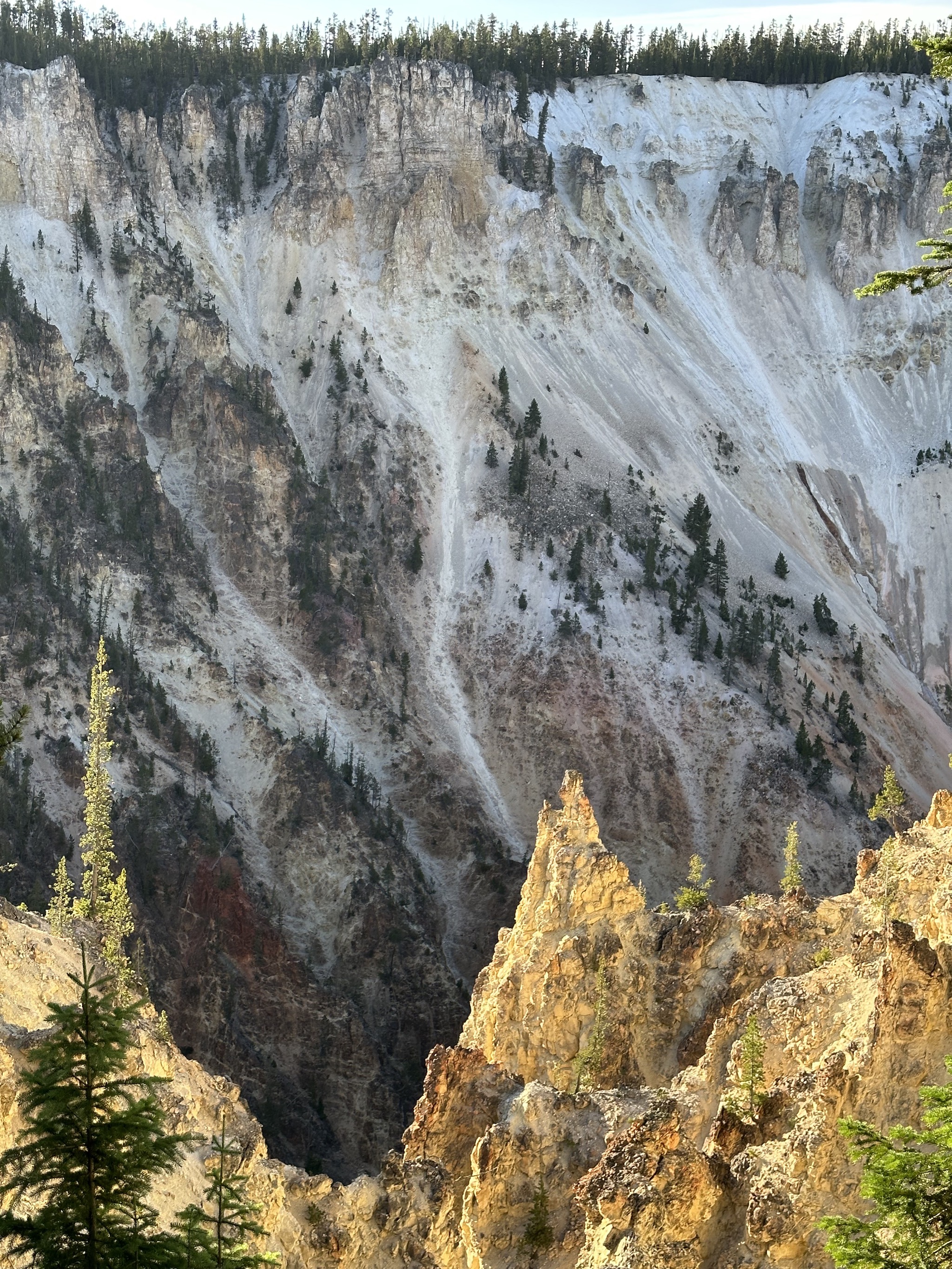 Grand Canyon of Yellowstone