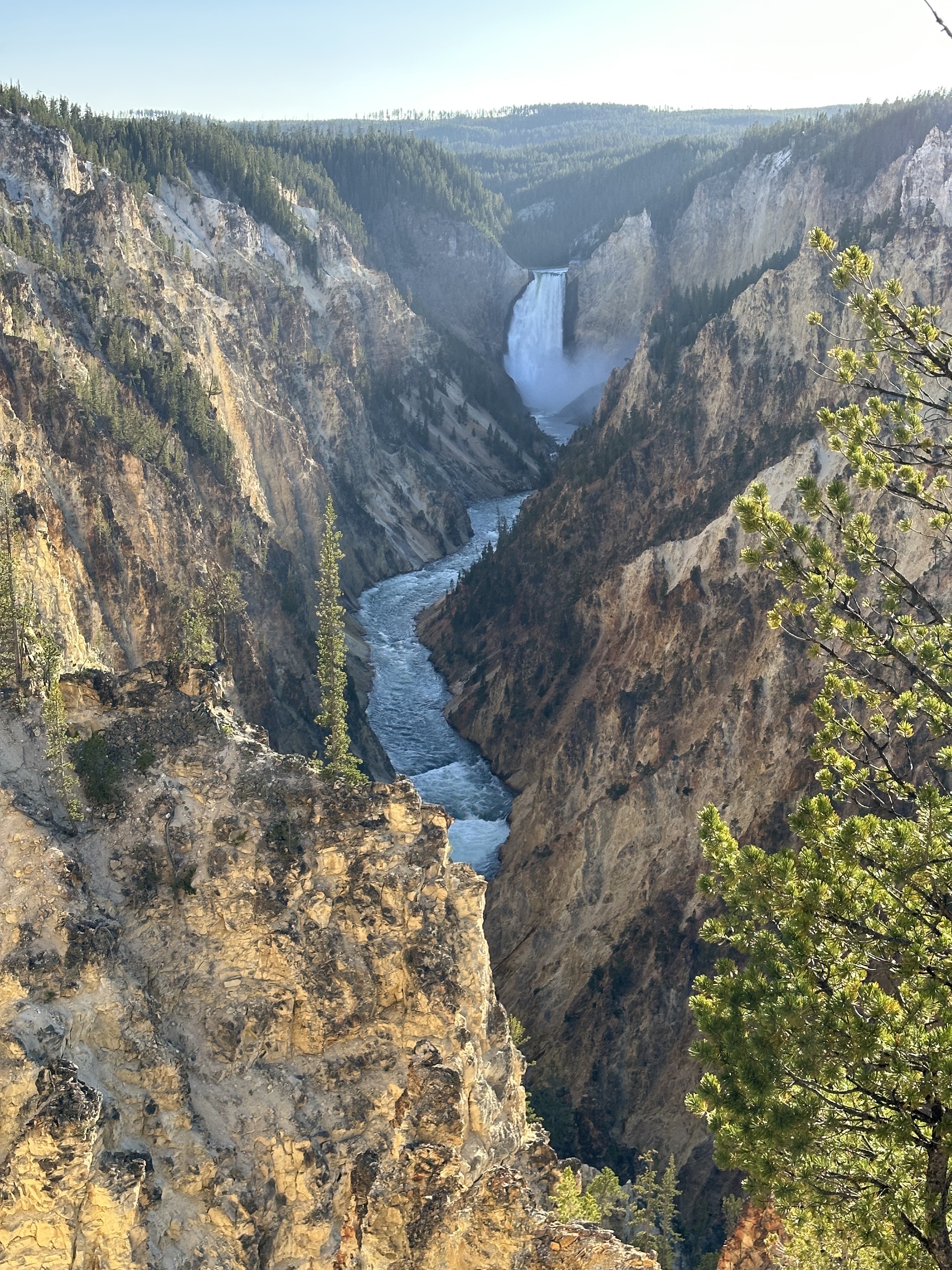 Grand Canyon of Yellowstone
