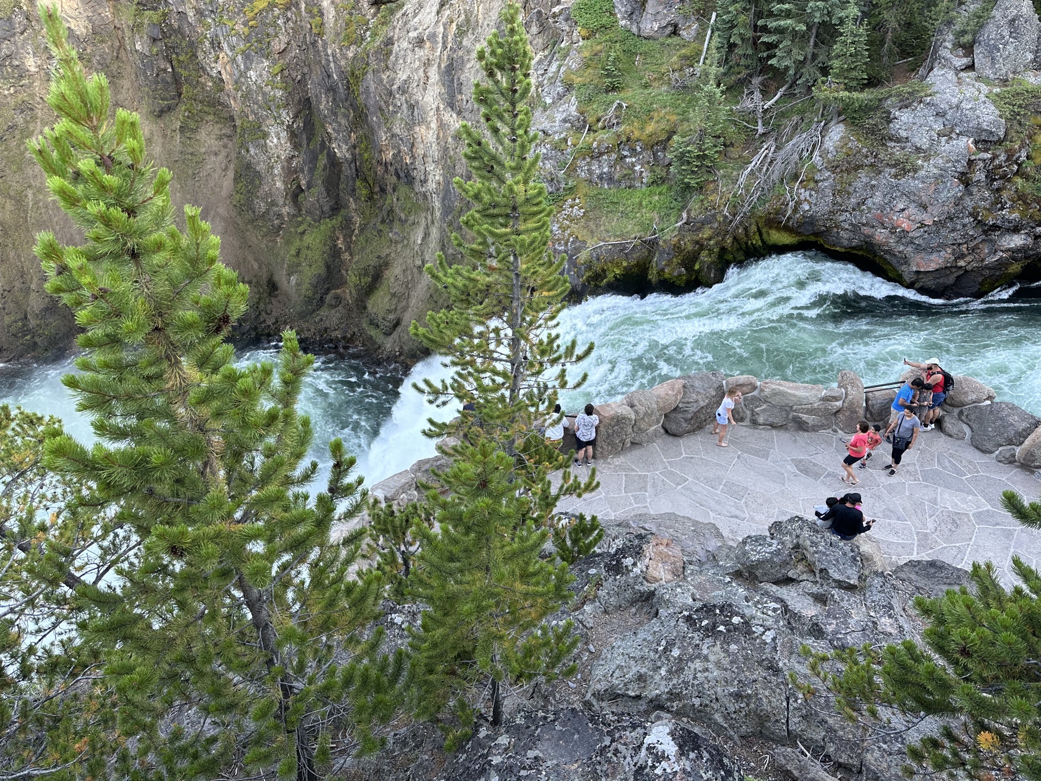 Grand Canyon of Yellowstone
