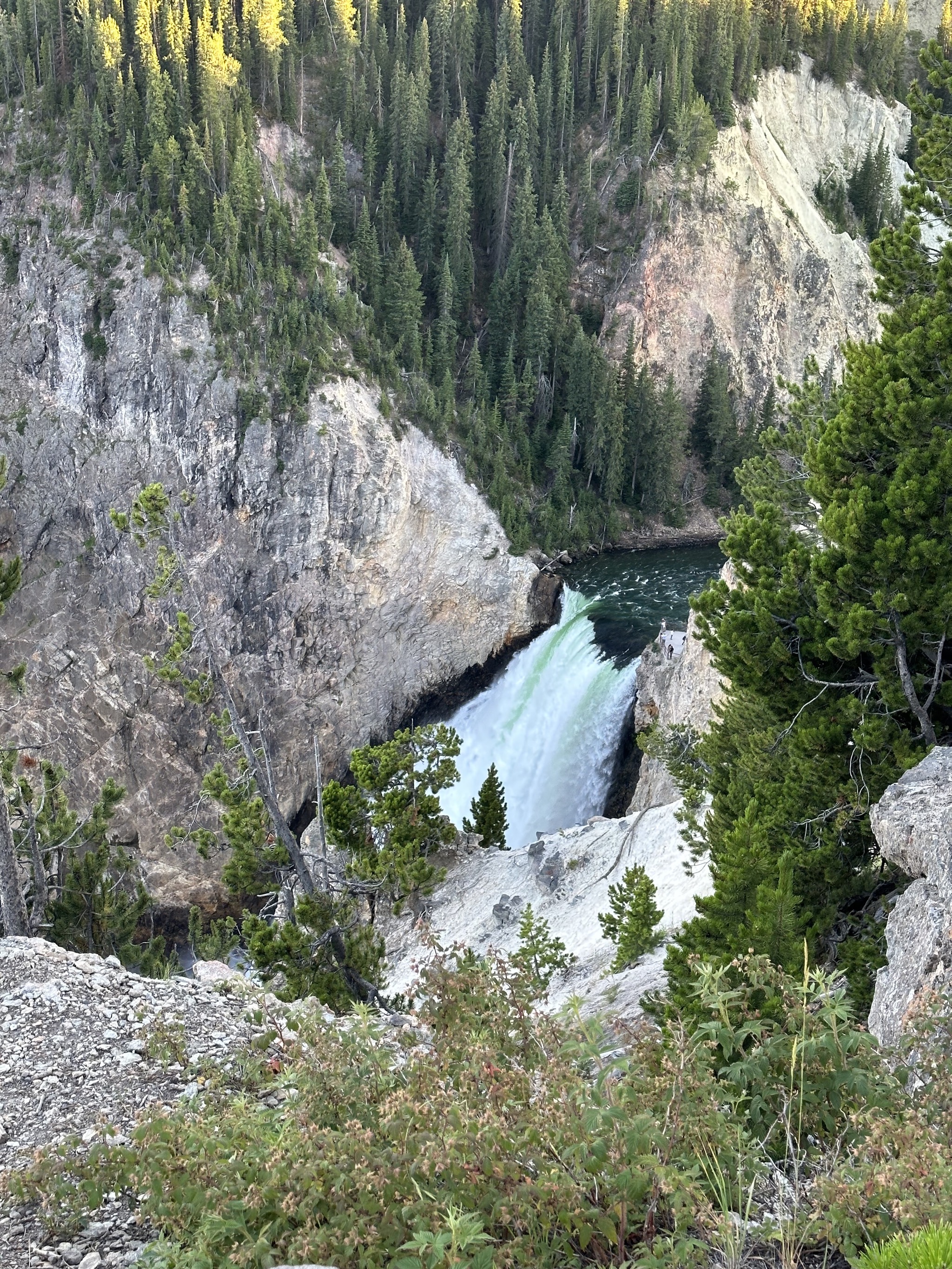 Grand Canyon of Yellowstone