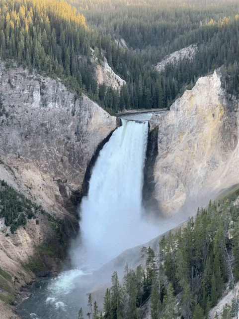 Grand Canyon of Yellowstone