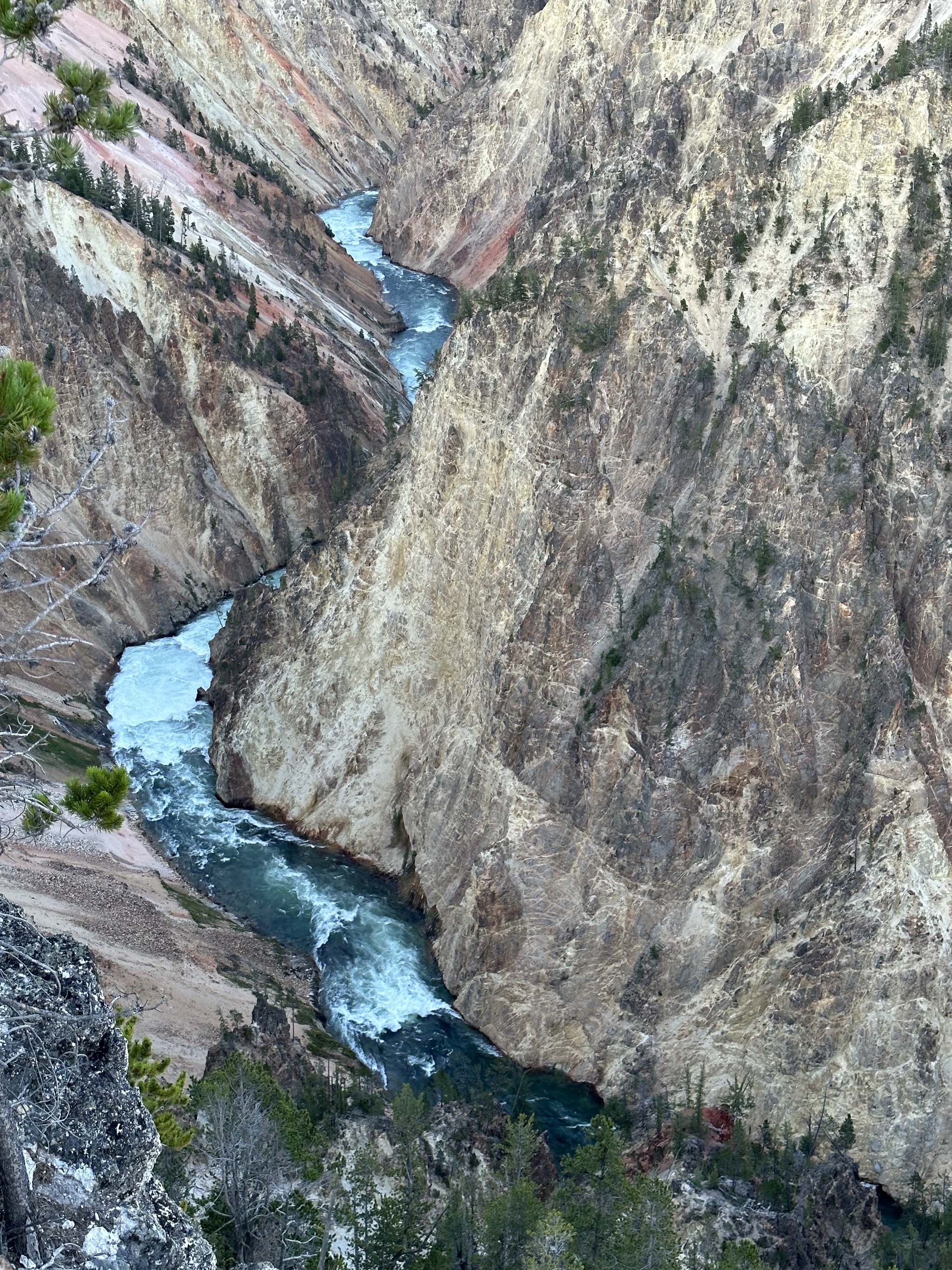 Grand Canyon of Yellowstone