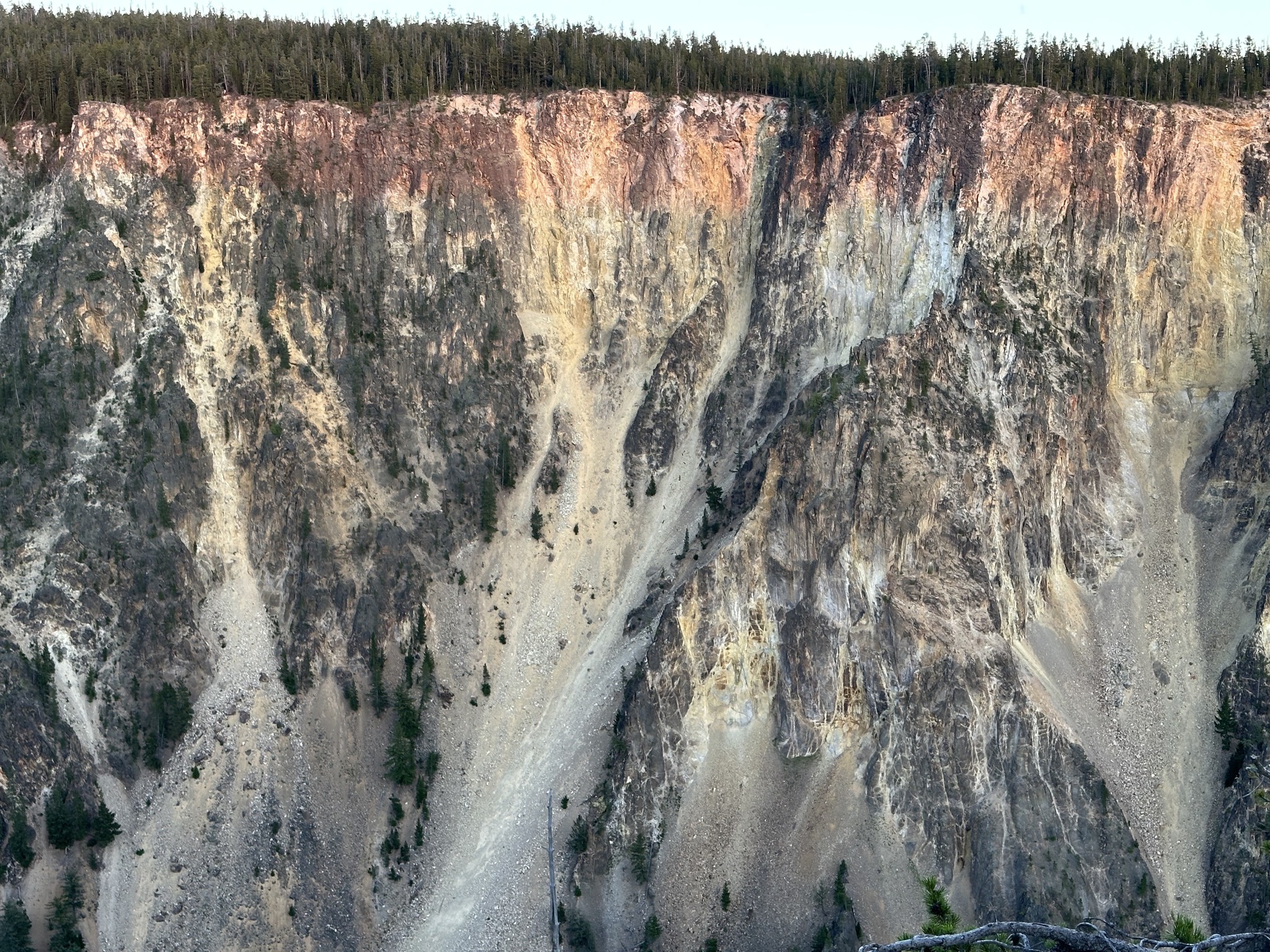 Grand Canyon of Yellowstone