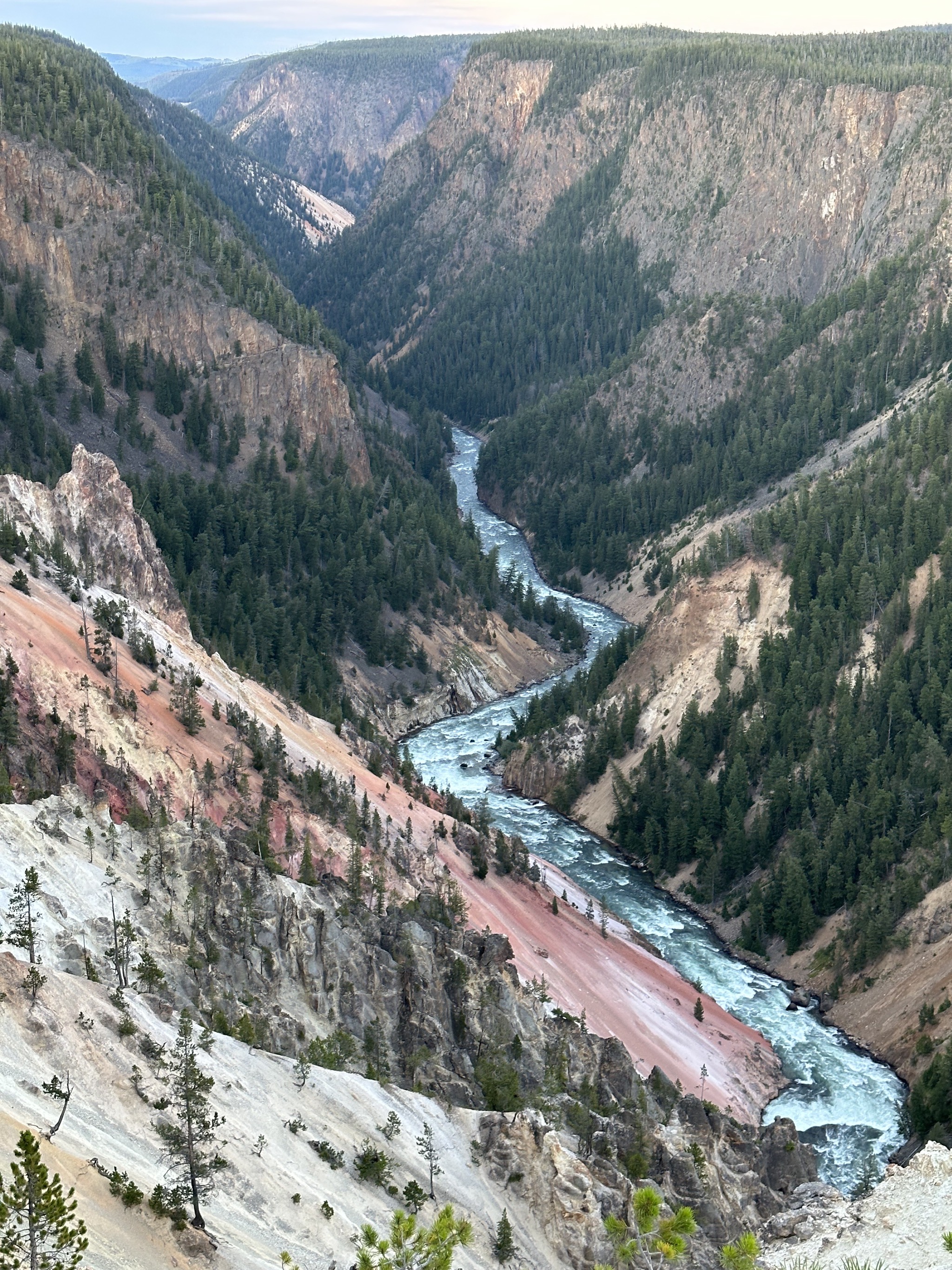 Grand Canyon of Yellowstone