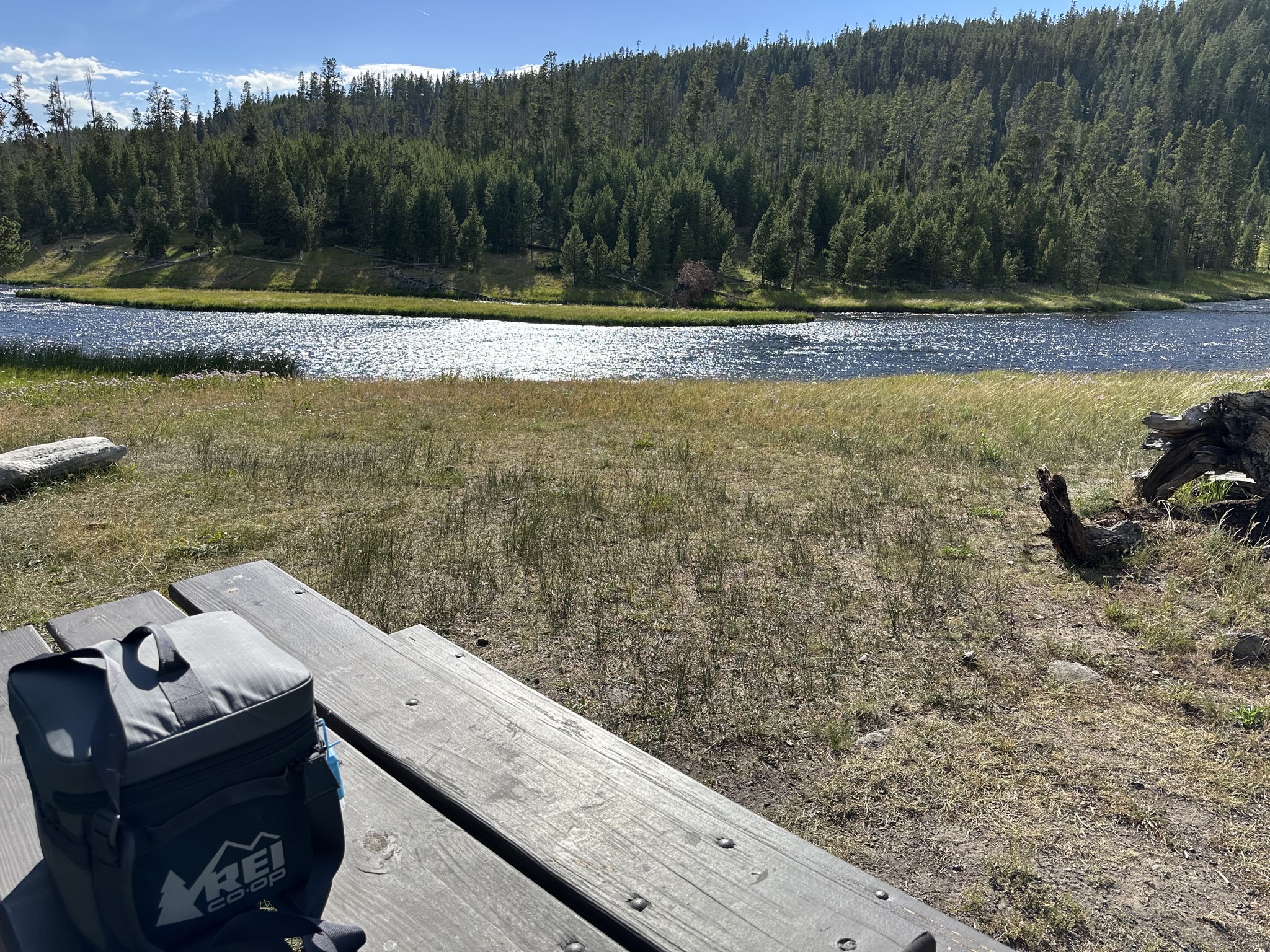 Nez Perce picnic area