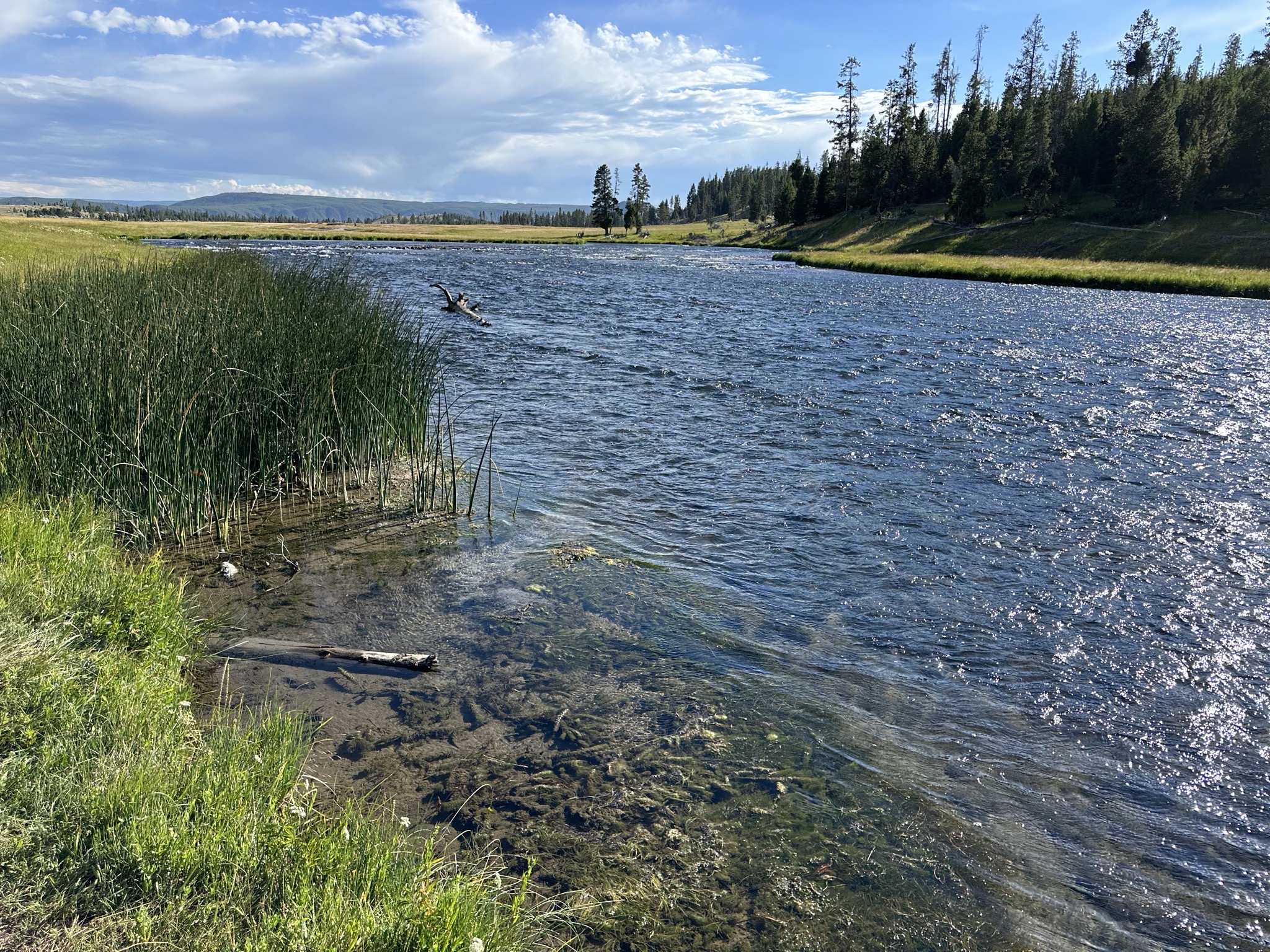 Nez Perce picnic area