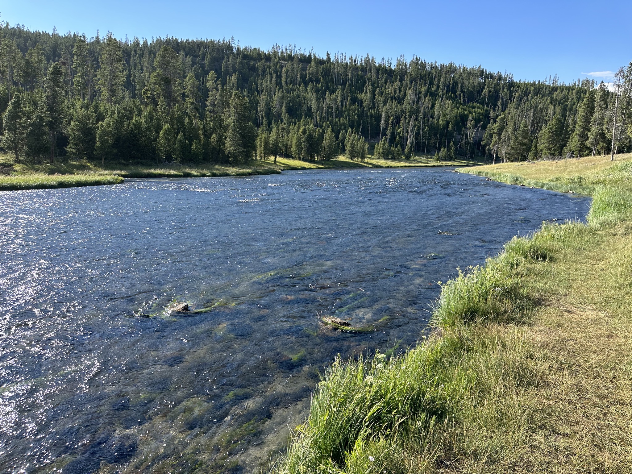 Nez Perce picnic area