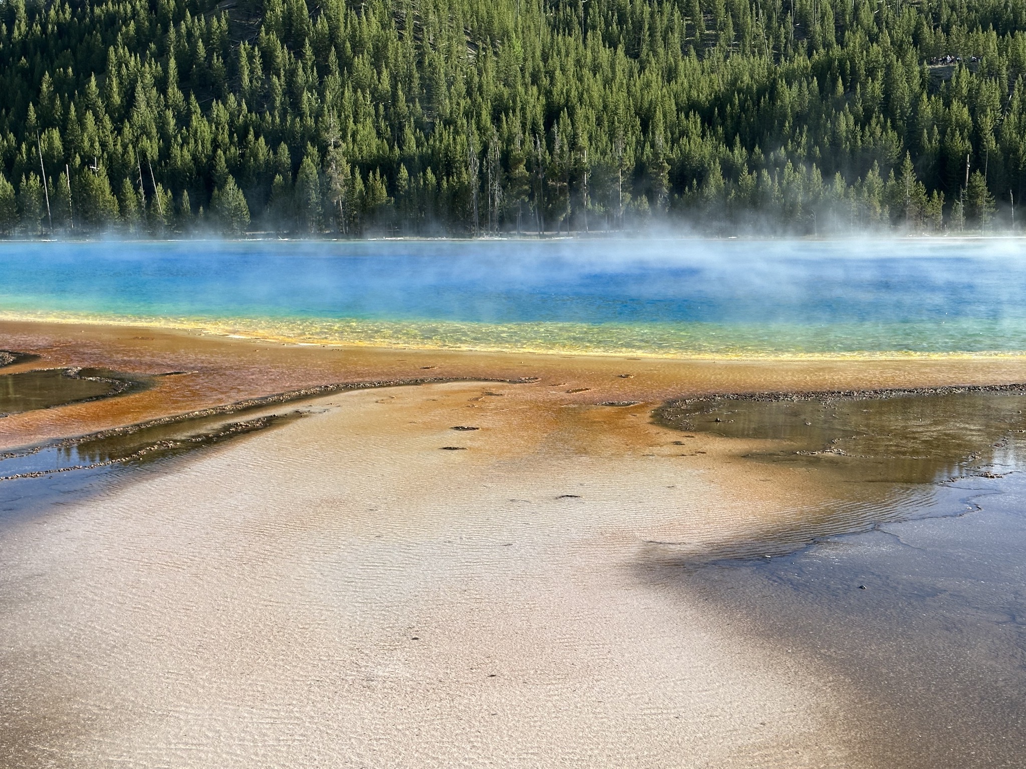 Grand Prismatic Spring